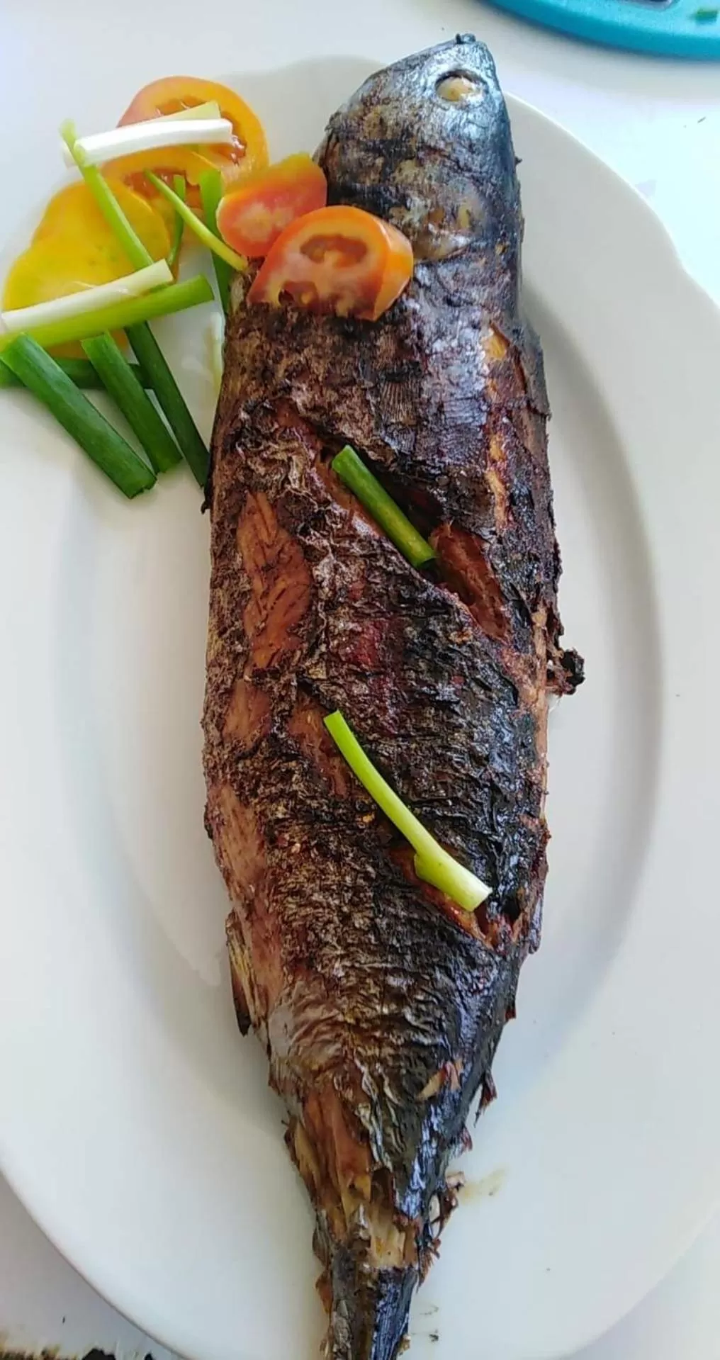 Food in Pescador View - Beachfront ,Extensions & nearby the Ocean Hostels & Restaurant Moalboal