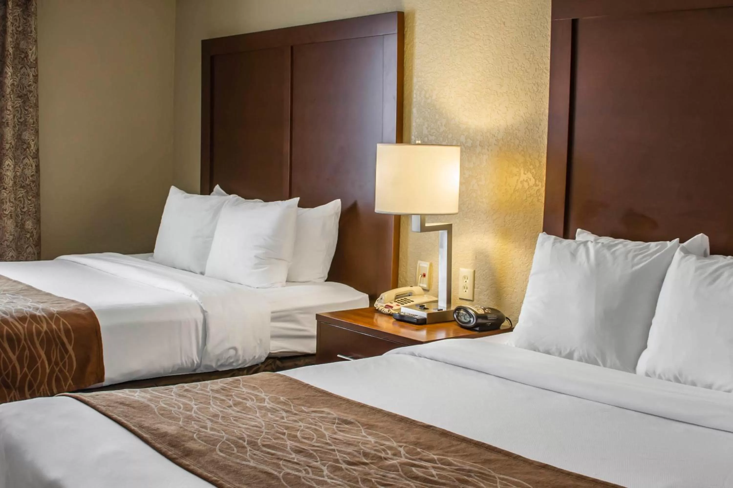 Queen Suite with Two Queen Beds - Non-Smoking in Comfort Suites San Antonio Near Seaworld