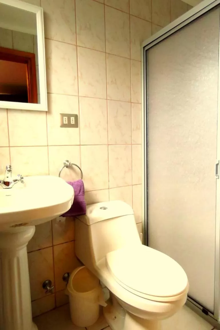 Bathroom in Apart-Hotel Colonia-Königsberg ESTACIONAMIENTO Deptos Completos Ubicado En El Centro De Valdivia AIRE ACONDICIONADO