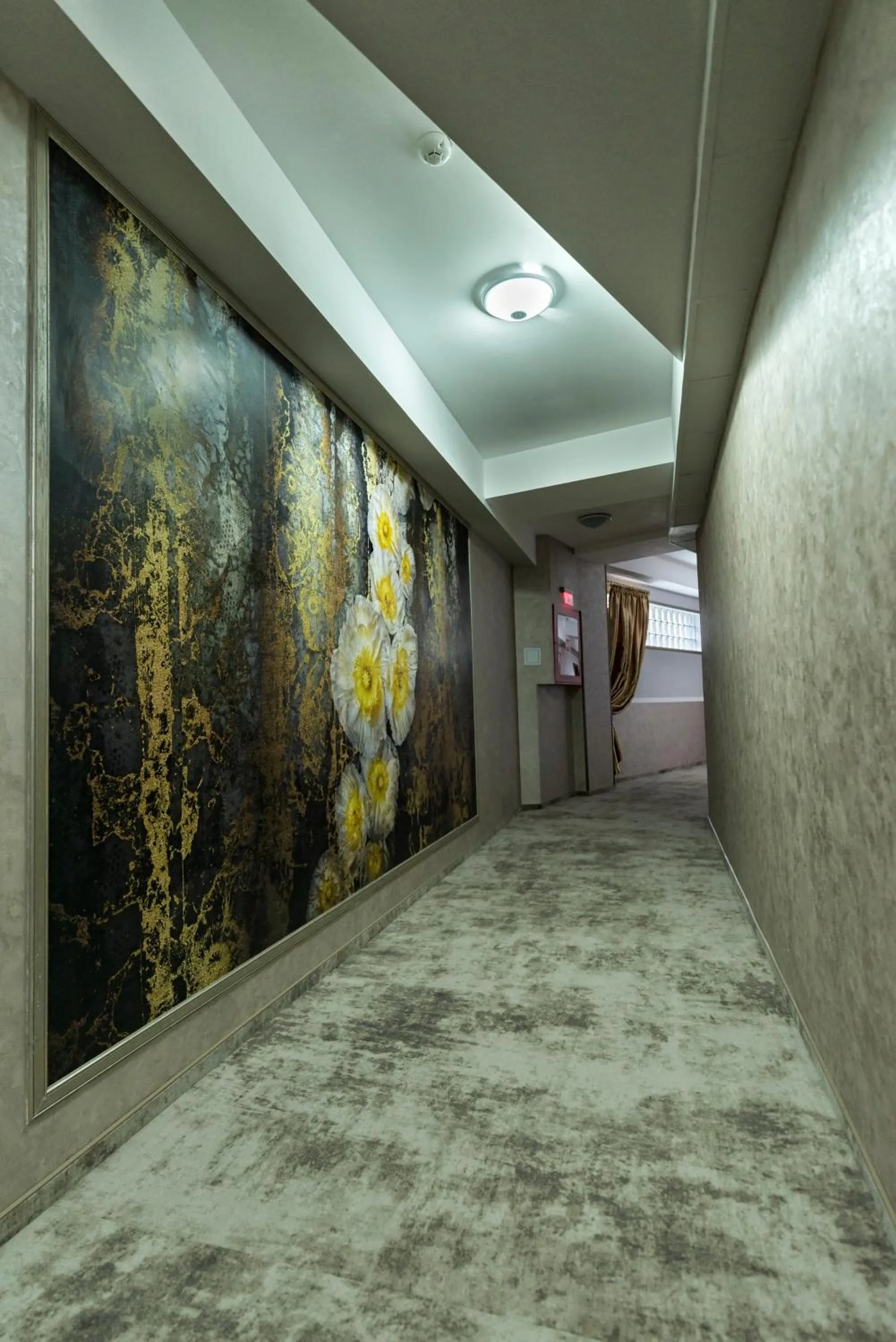 Area and facilities in Prestige Boutique Hotel Craiova