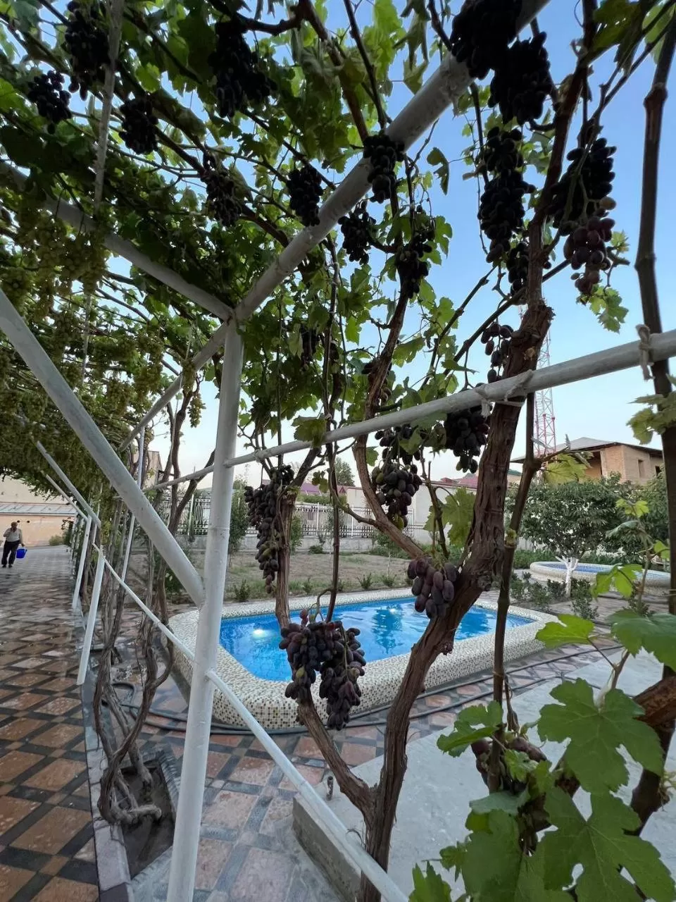 Garden, Swimming Pool in Samarabonu Hotel