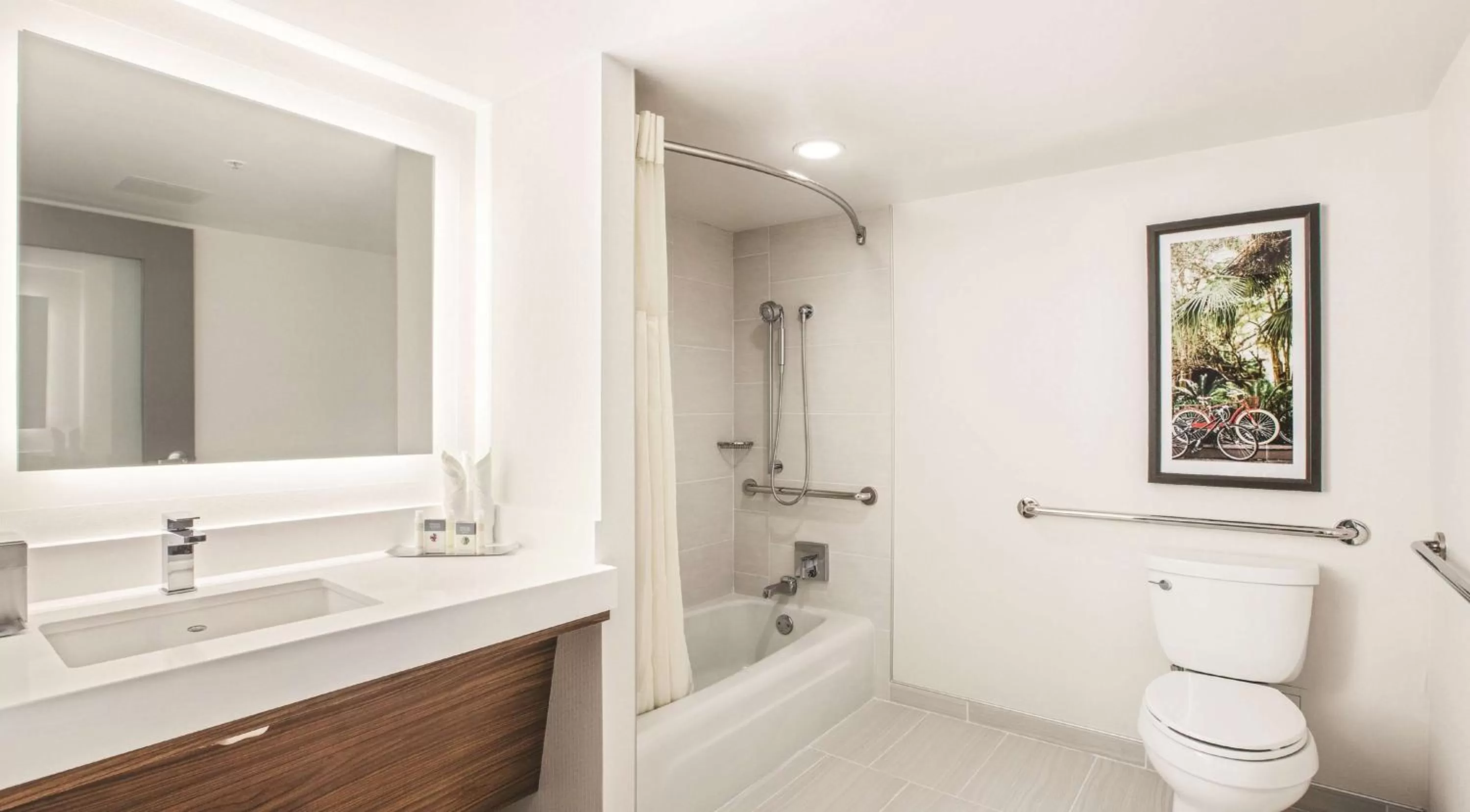 Deluxe Queen Room - Mobility Access with Tub River View in DoubleTree by Hilton New Orleans