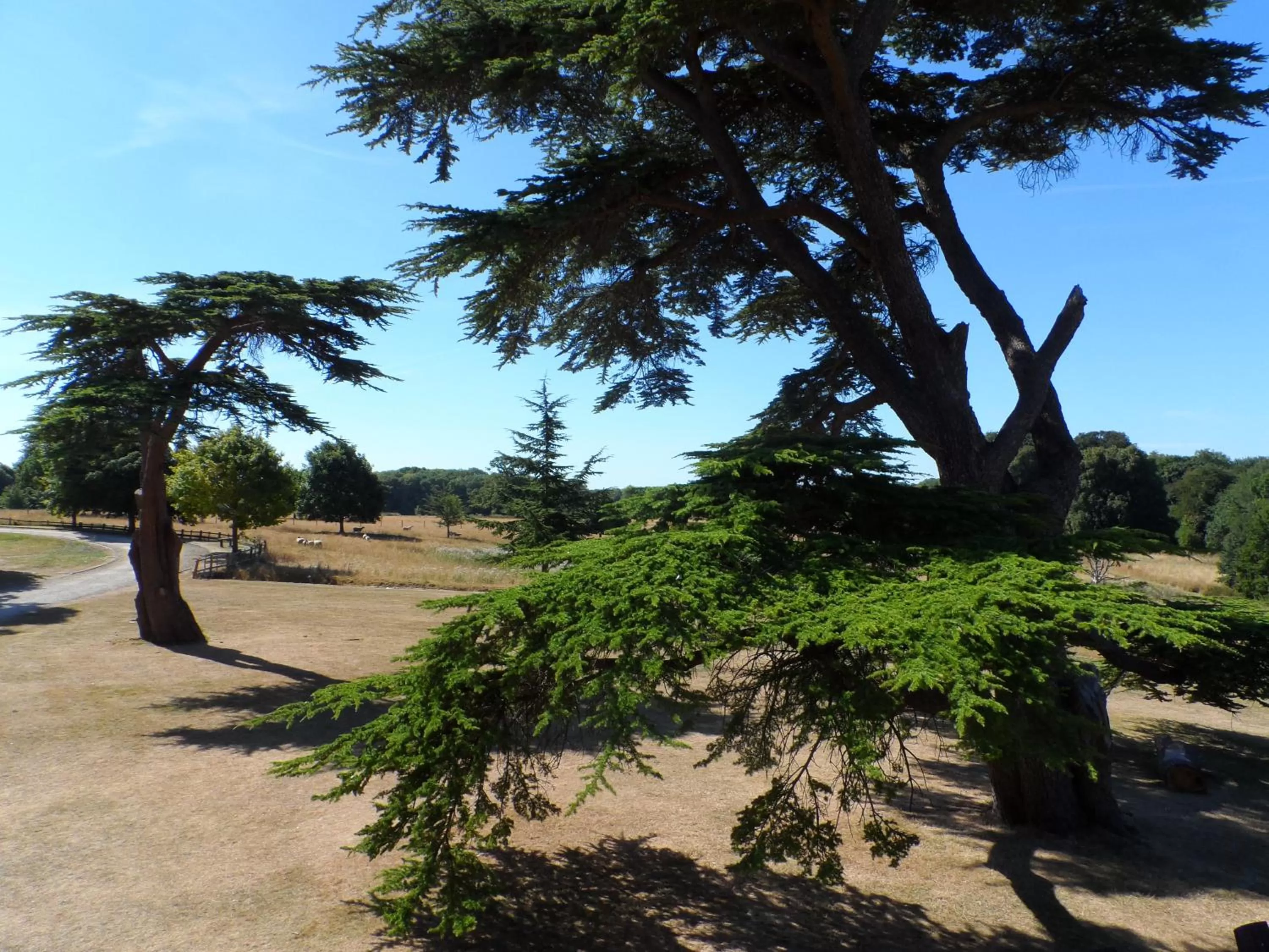 Natural landscape in Stanton House Hotel
