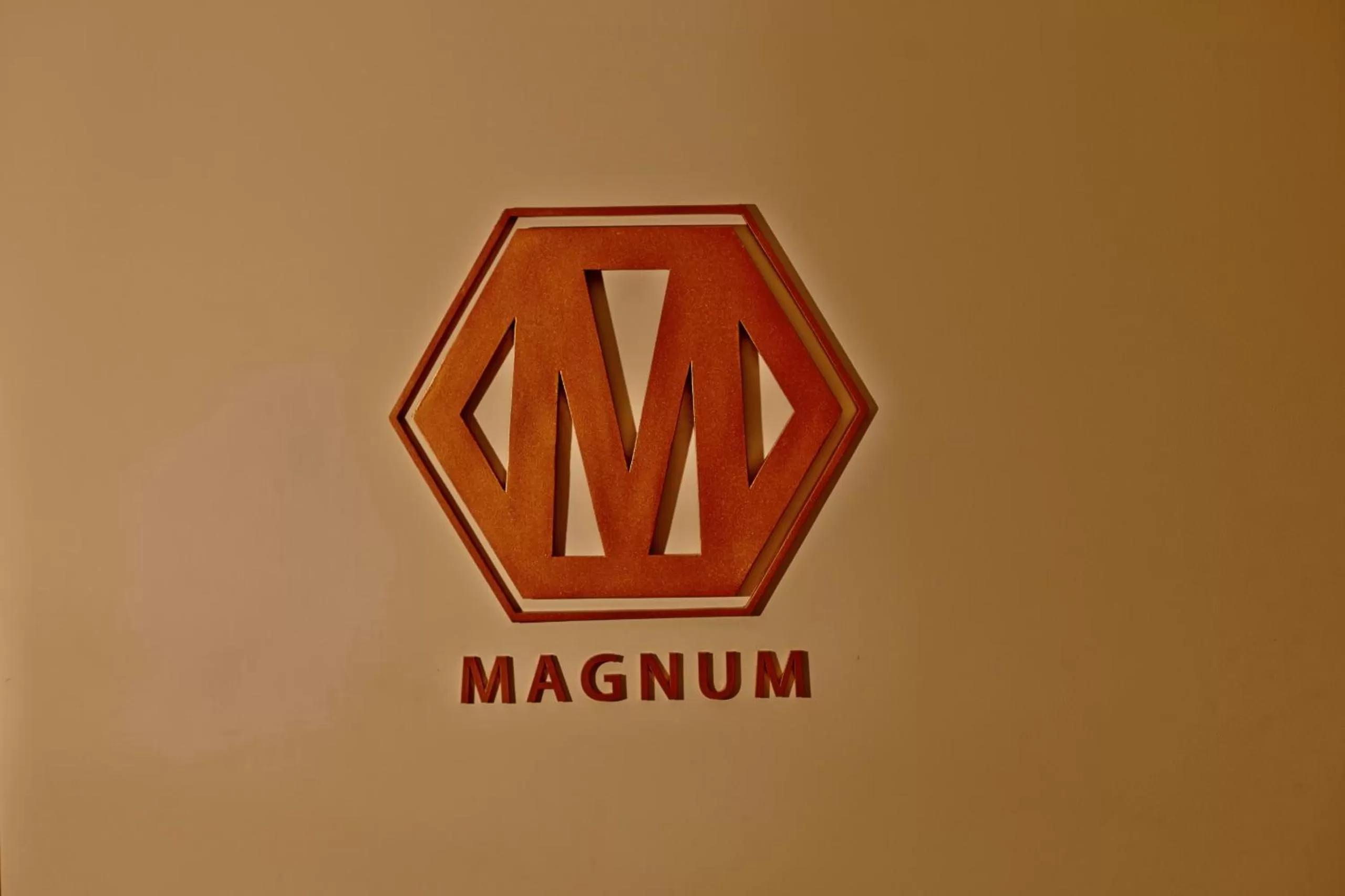 Decorative detail in Hablis Chennai