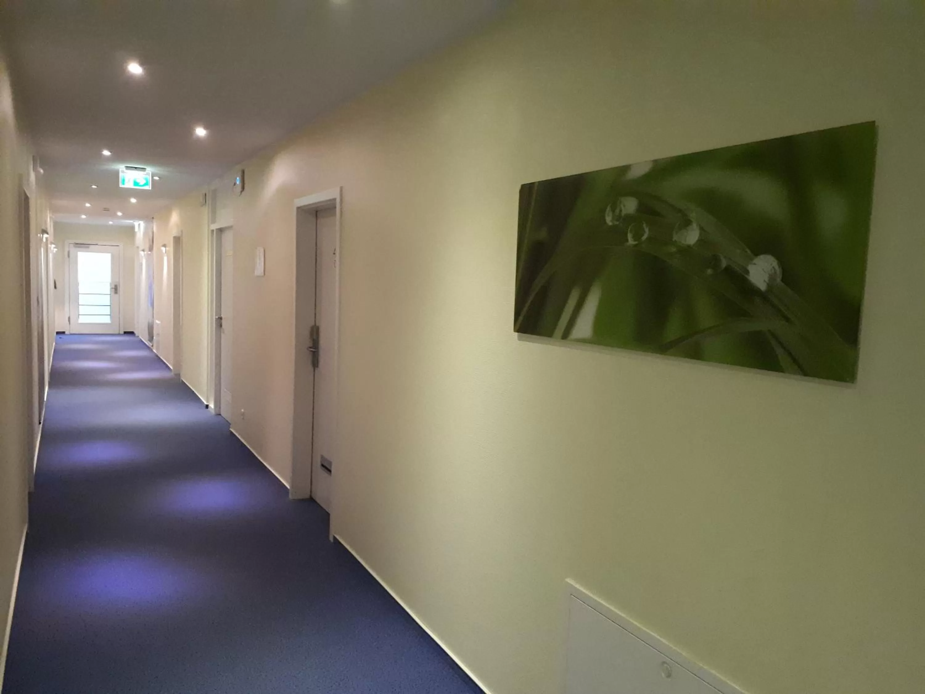 Area and facilities in Hotel Landgasthof Ratz