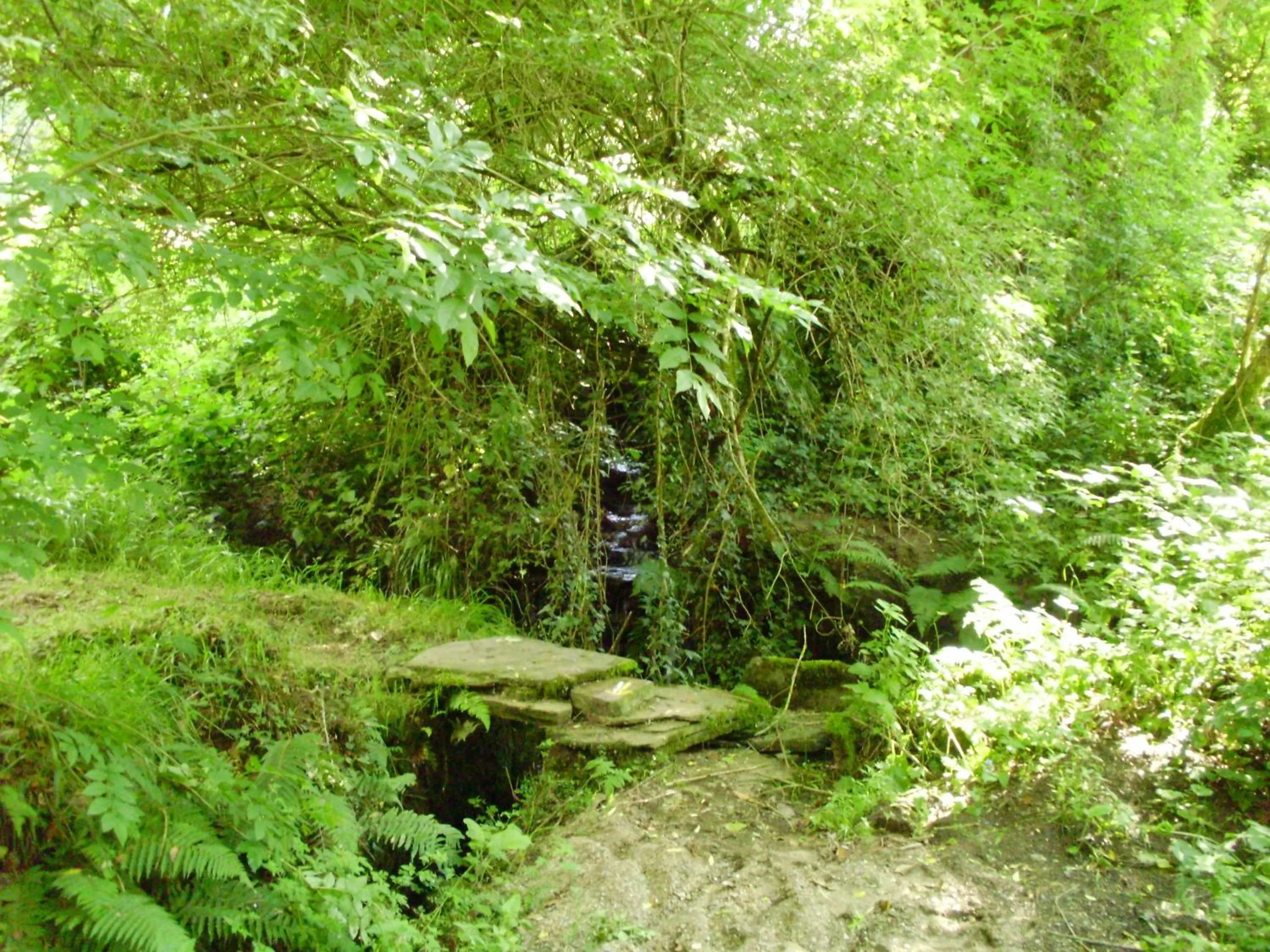 Hiking, Other Animals in Hotel Casa de Díaz