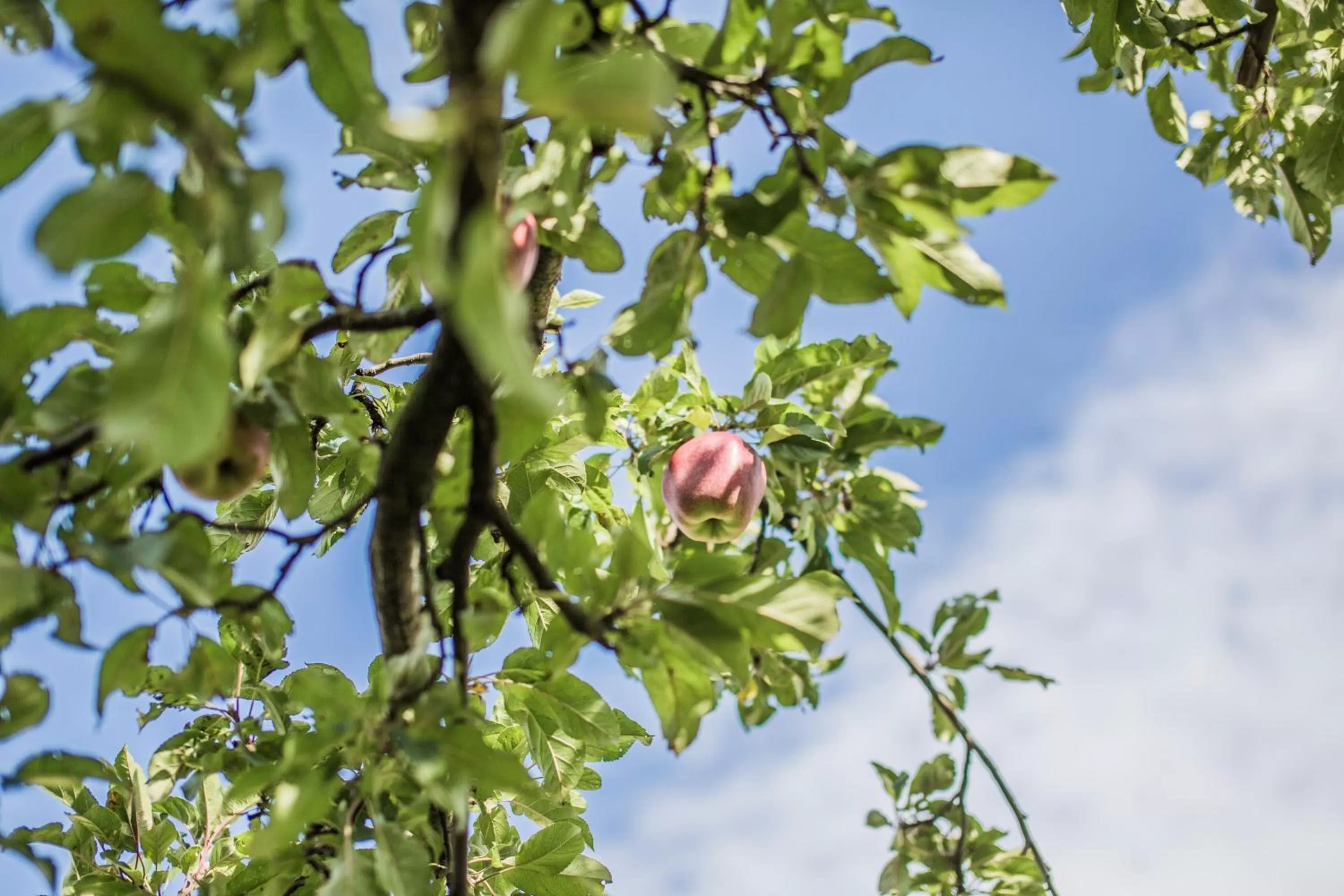 Other in Hotel Turmhof