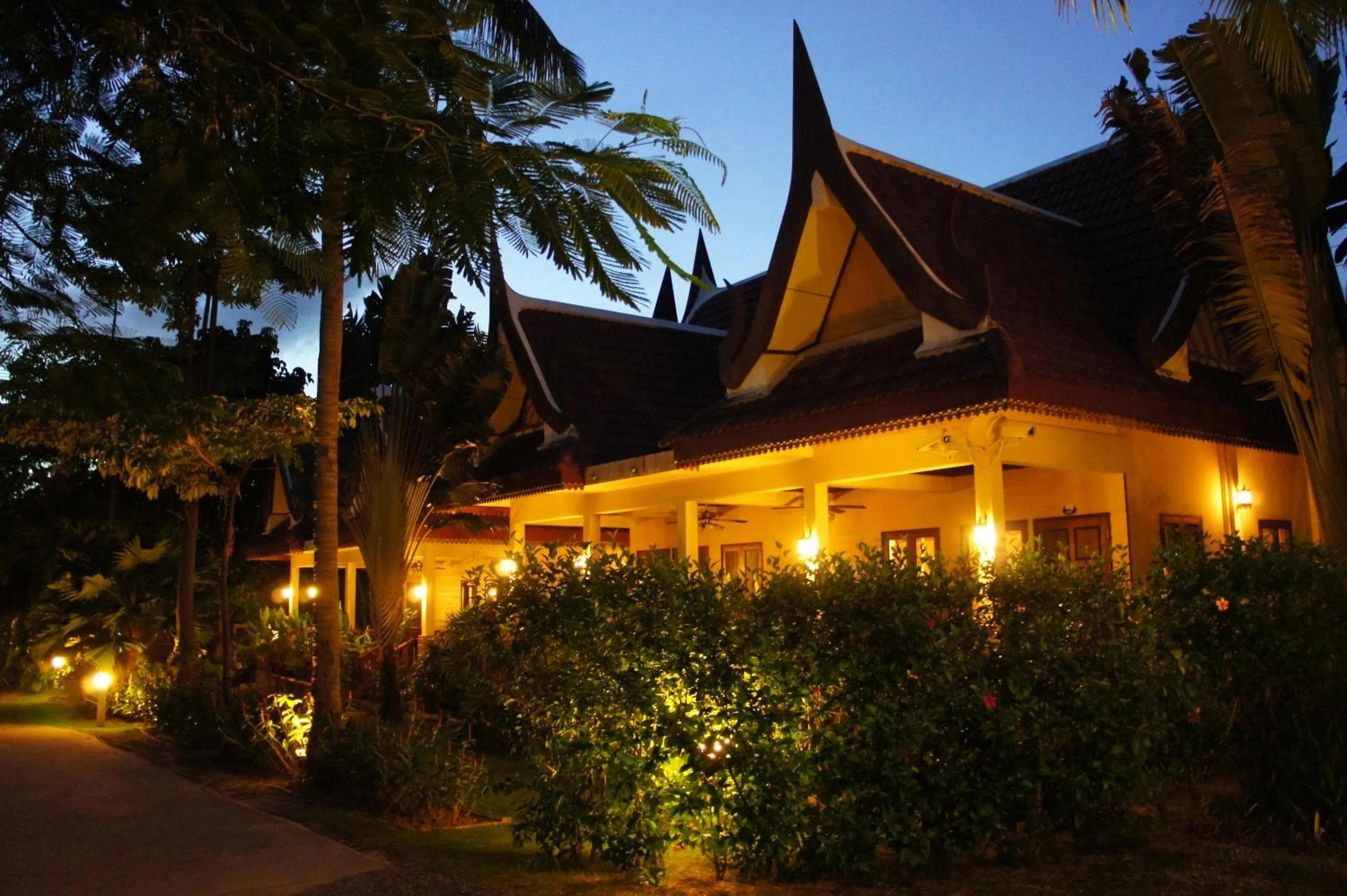 Night in Palm Village