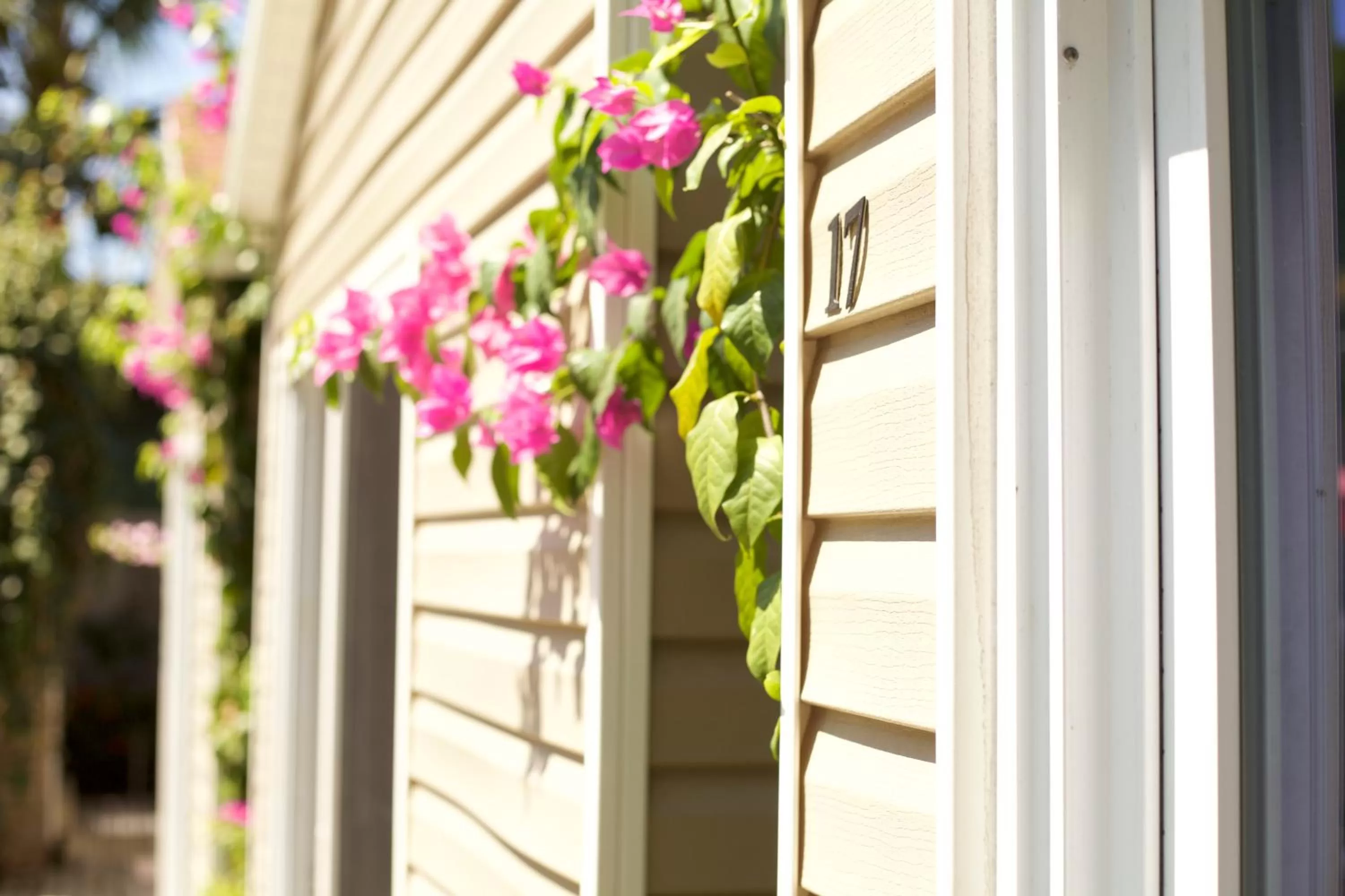 Other in Jaco Lodge Quiet Place