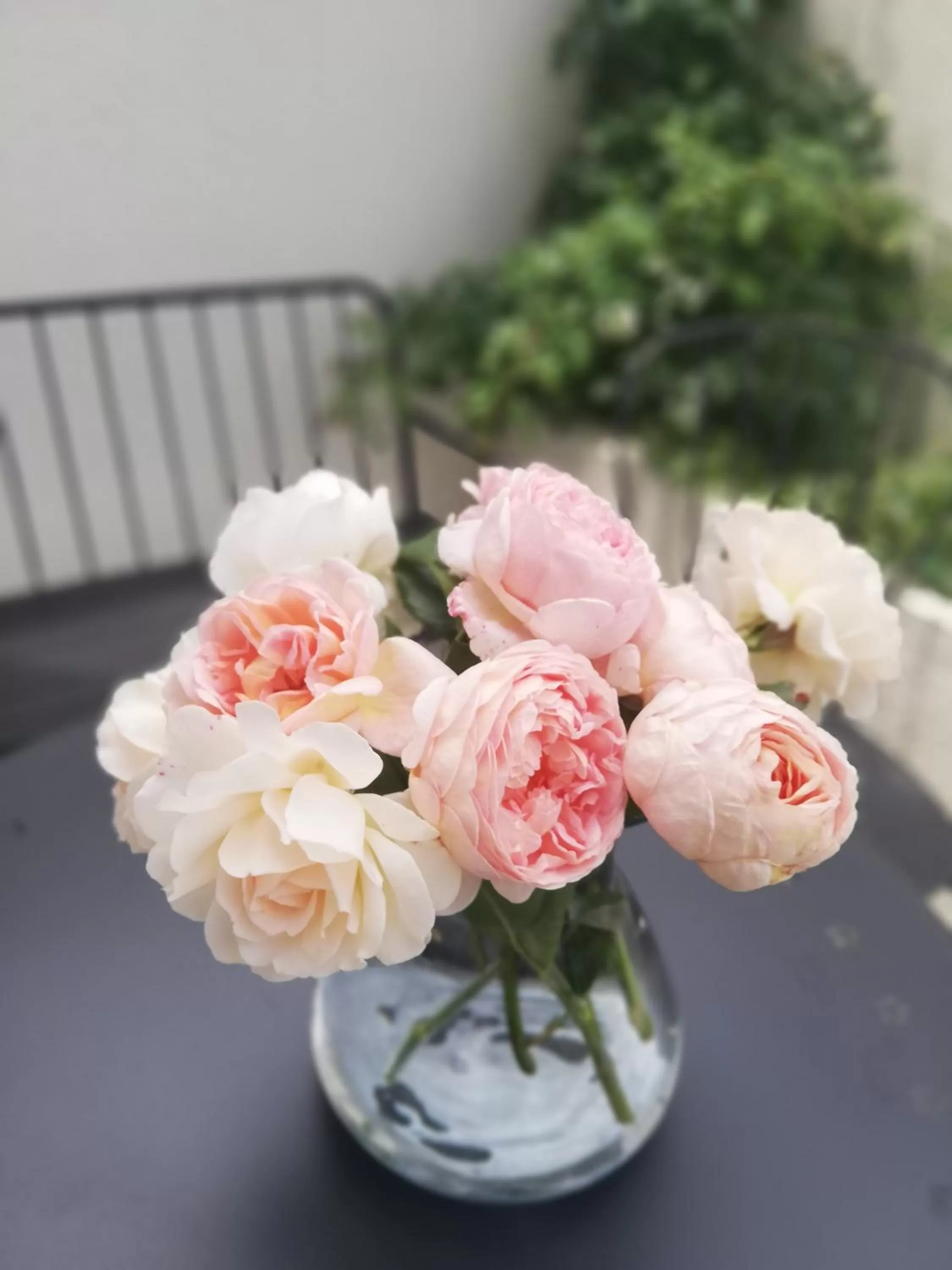 Garden, Food in Veronika Home Tbilisi