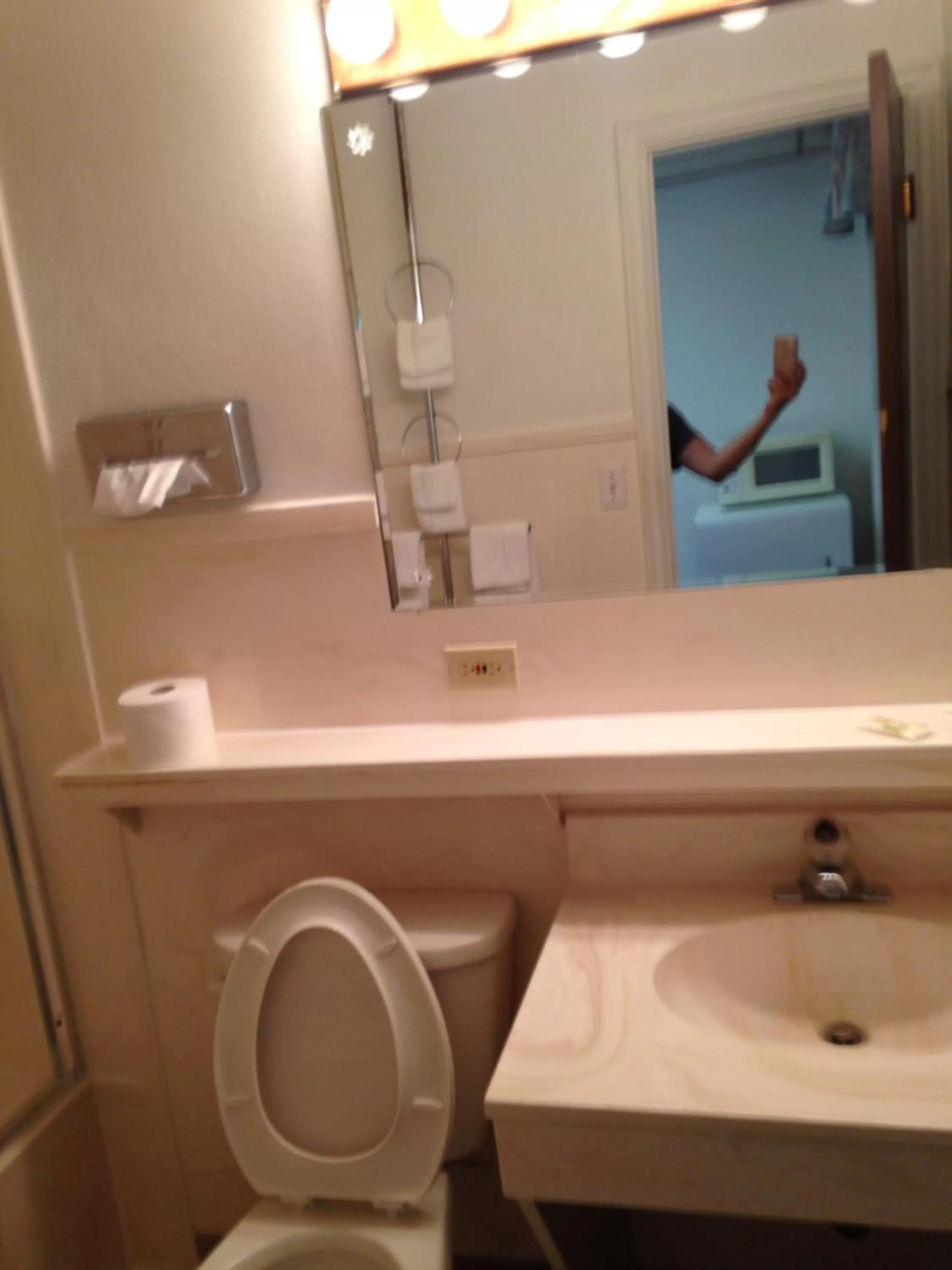 Bathroom in Siesta Motel