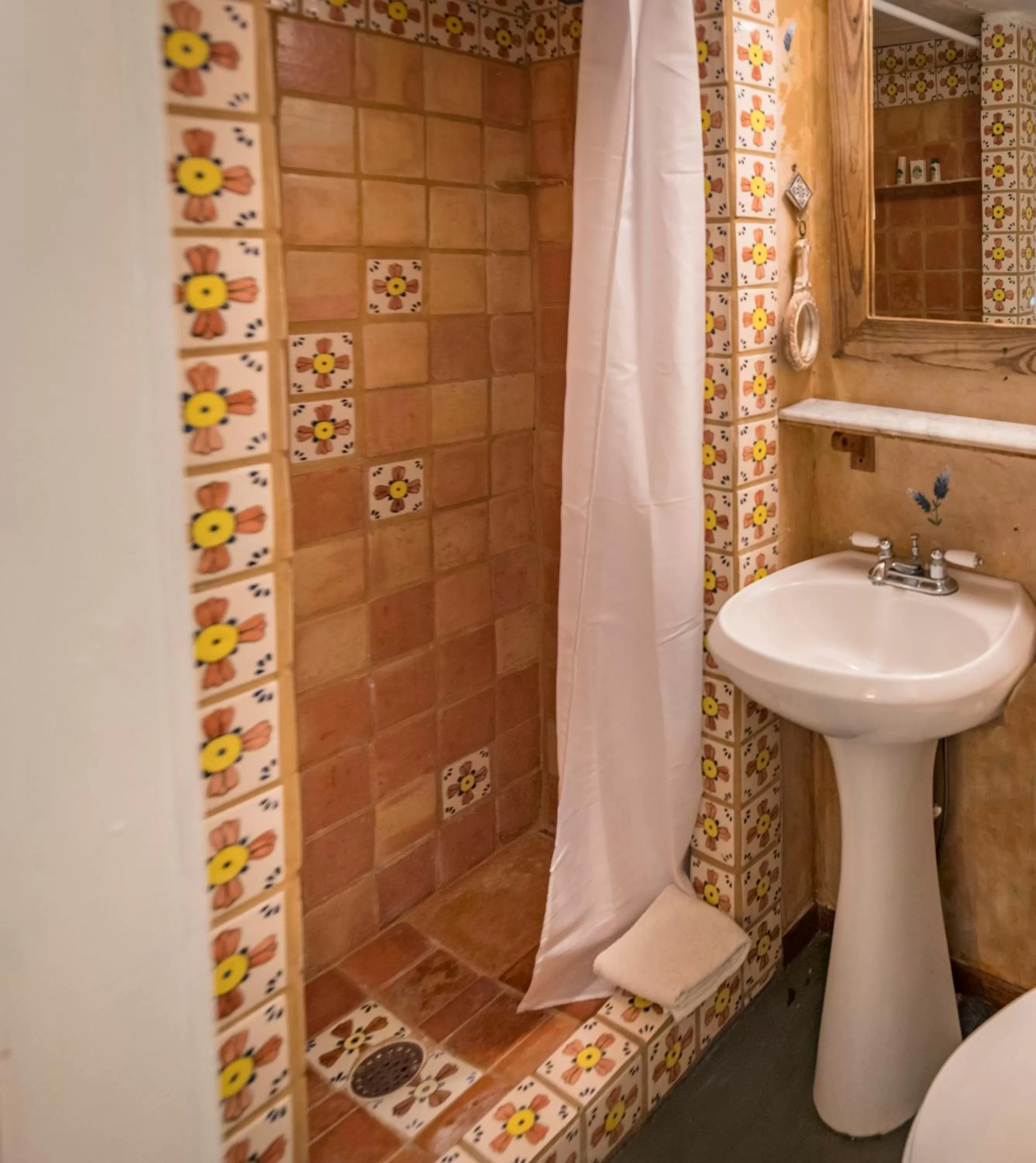 Shower in Country Woods Inn