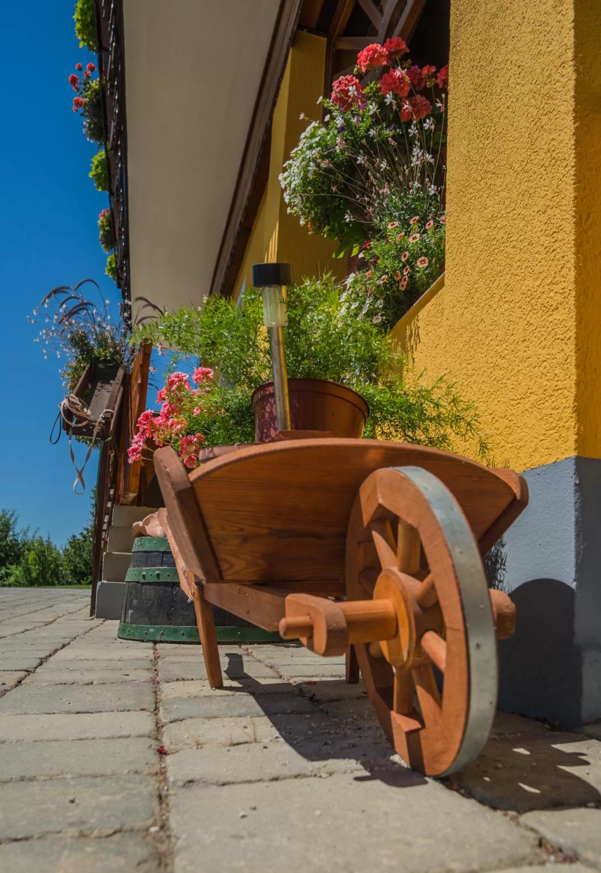 Other in Panorama B&B