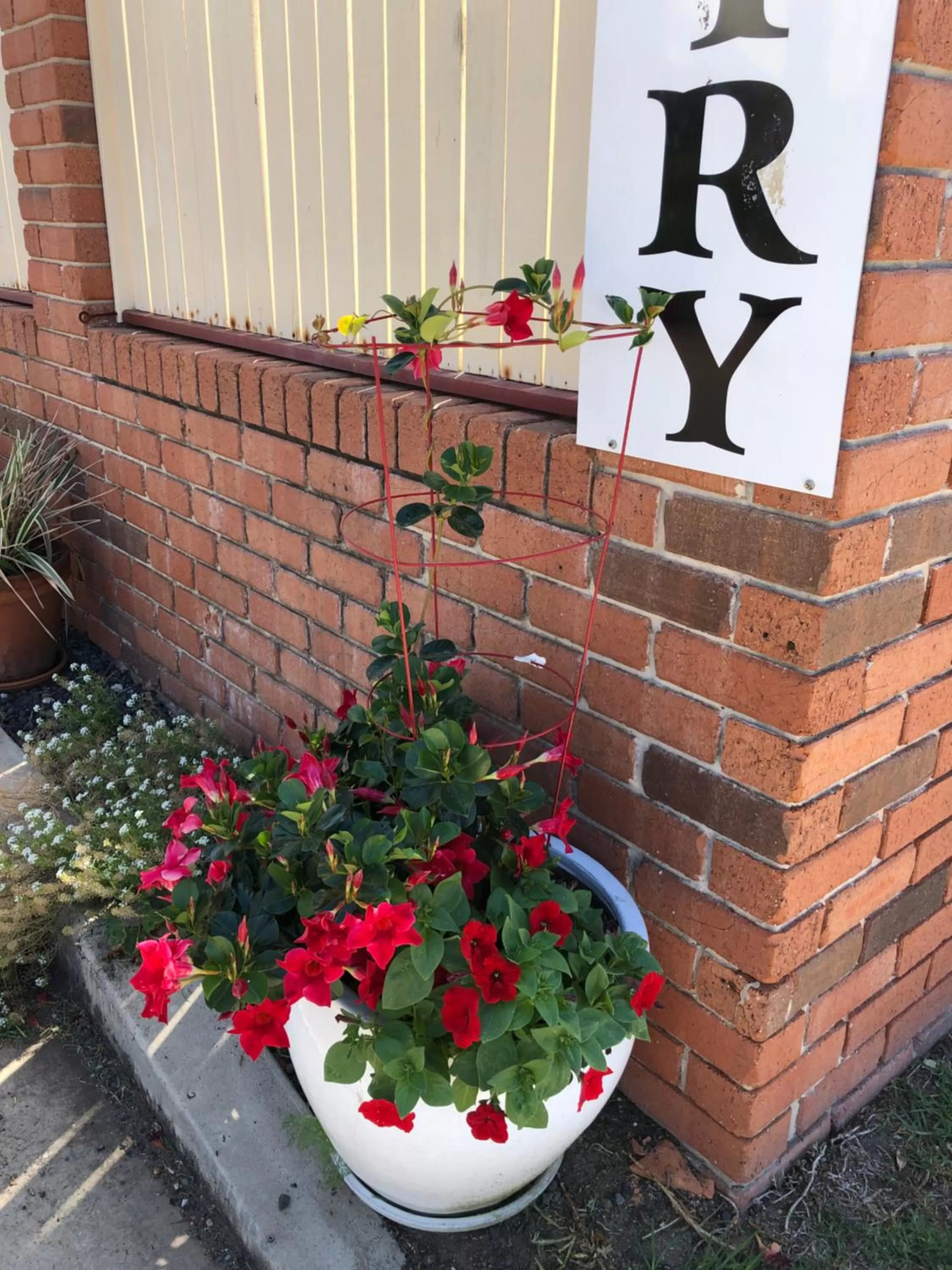 Garden in Country Pathfinder Motor Inn