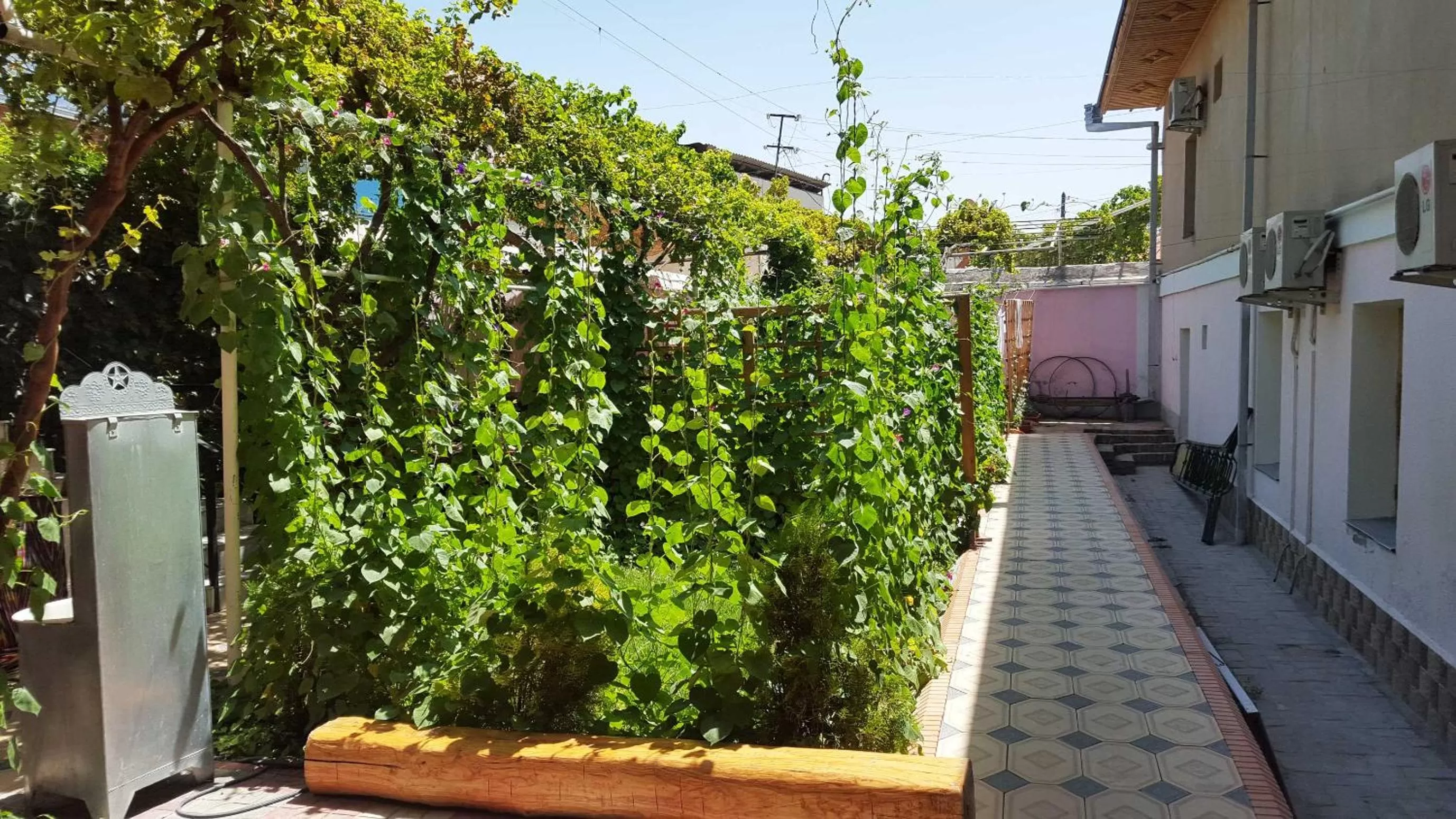 Garden view in Jahongir Guest House