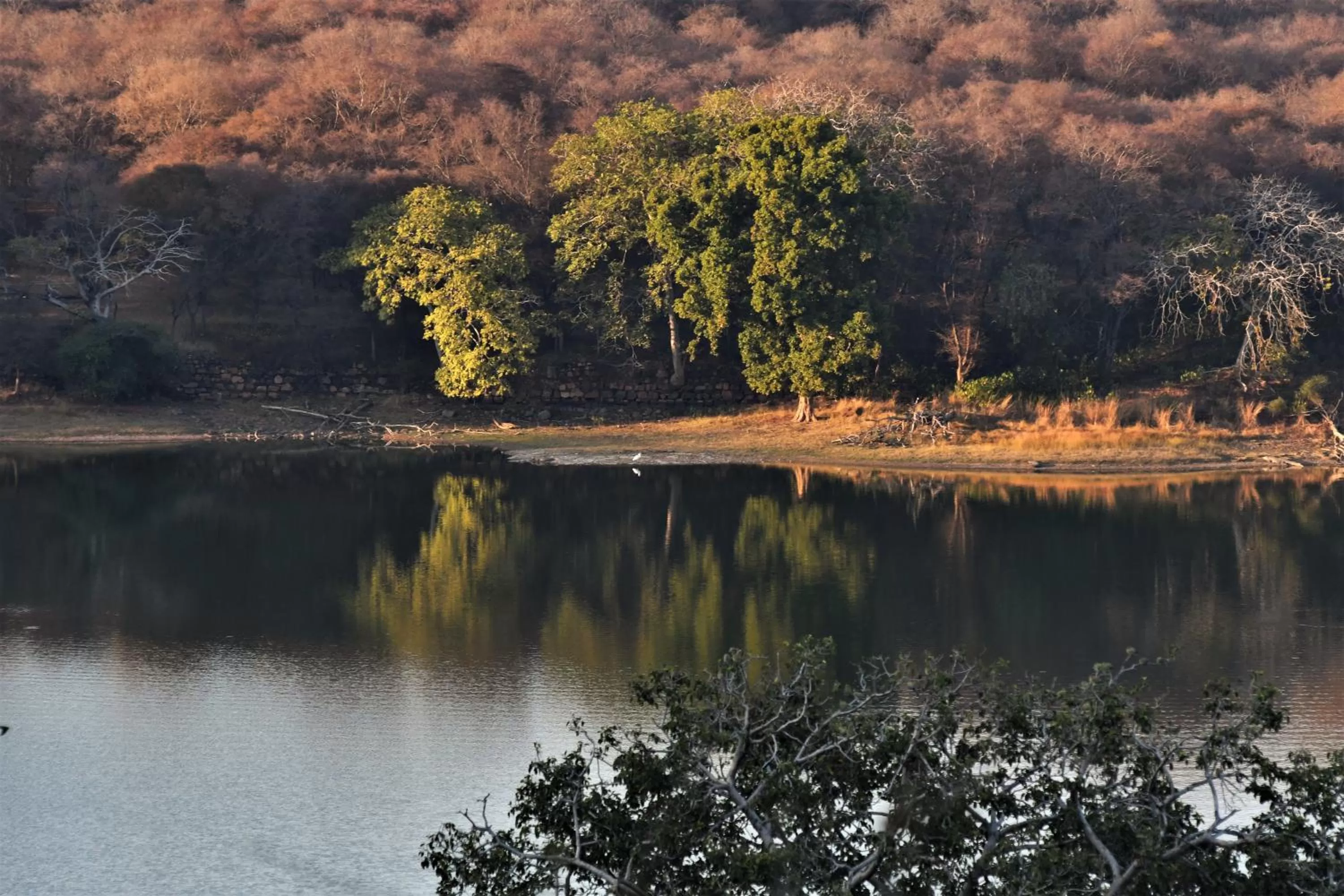 Nearby landmark in Omak Tiger Seven