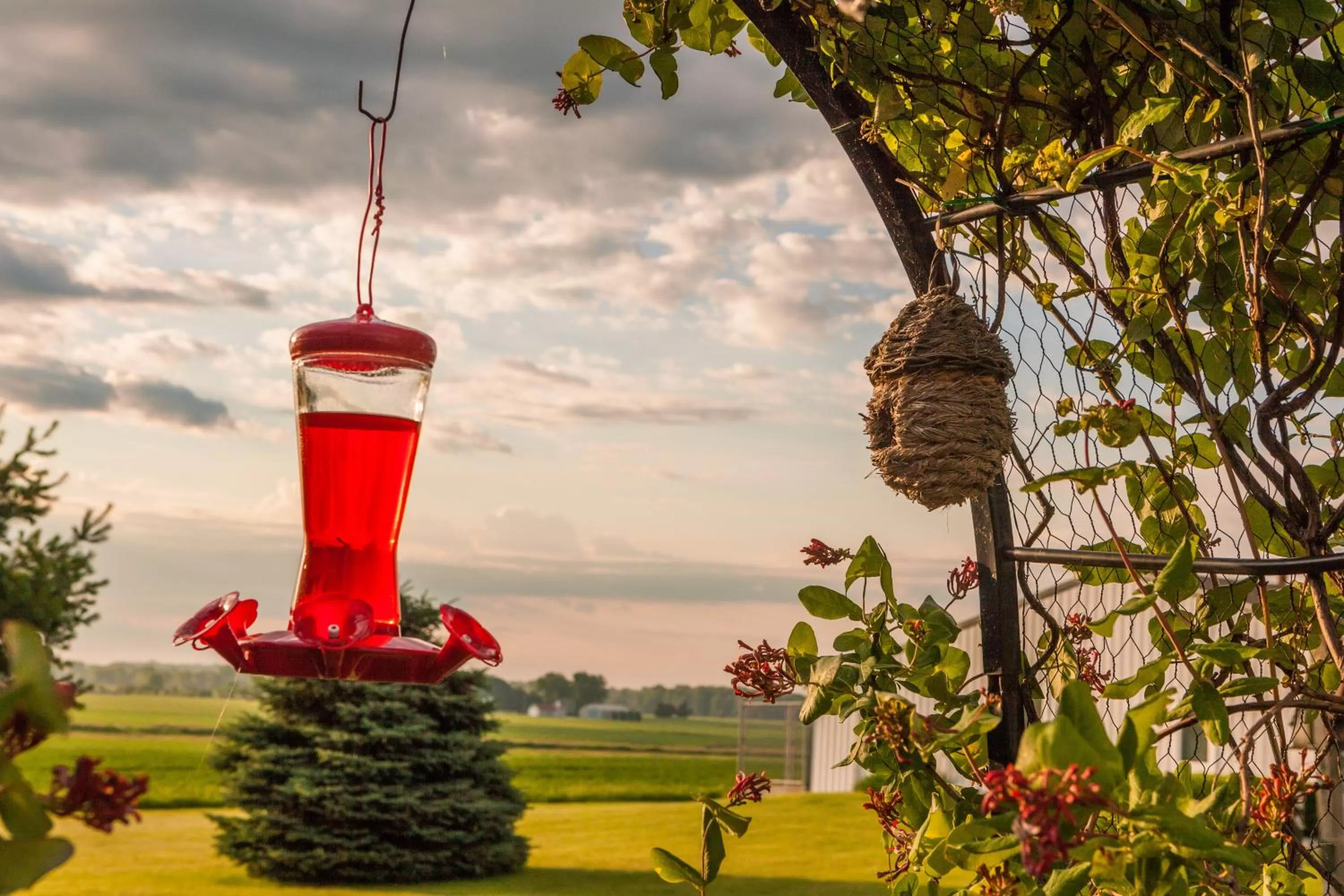 Scottish Bed & Breakfast