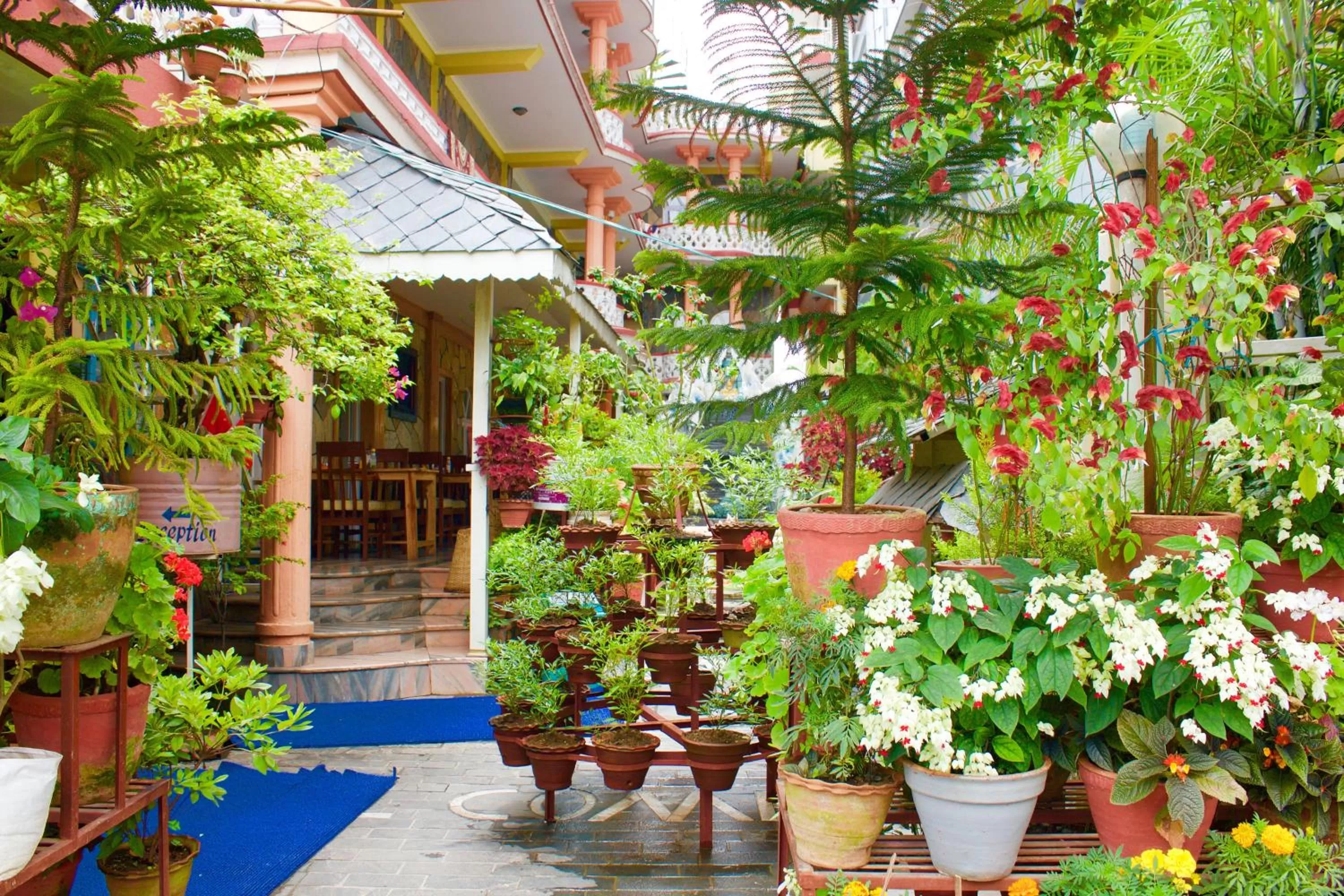 Garden in Hotel Himalayan Inn