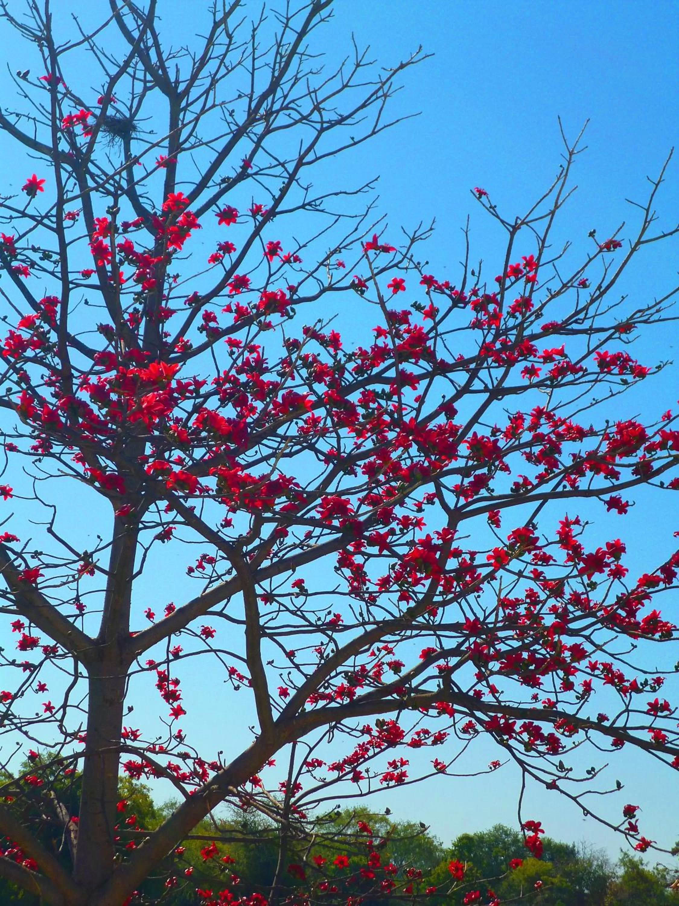 Other in Hotel Harmony