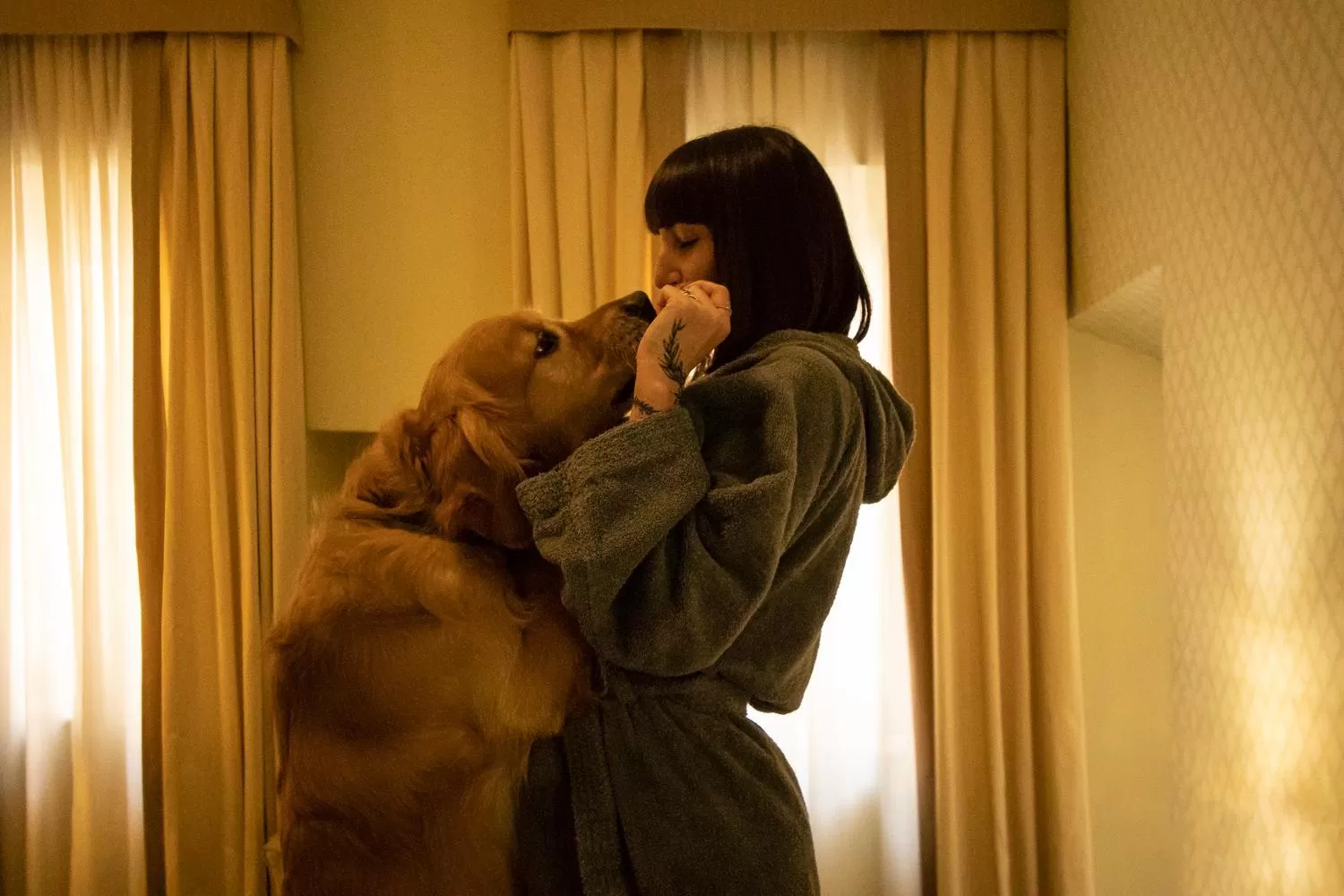 Pets in Hotel La Locanda