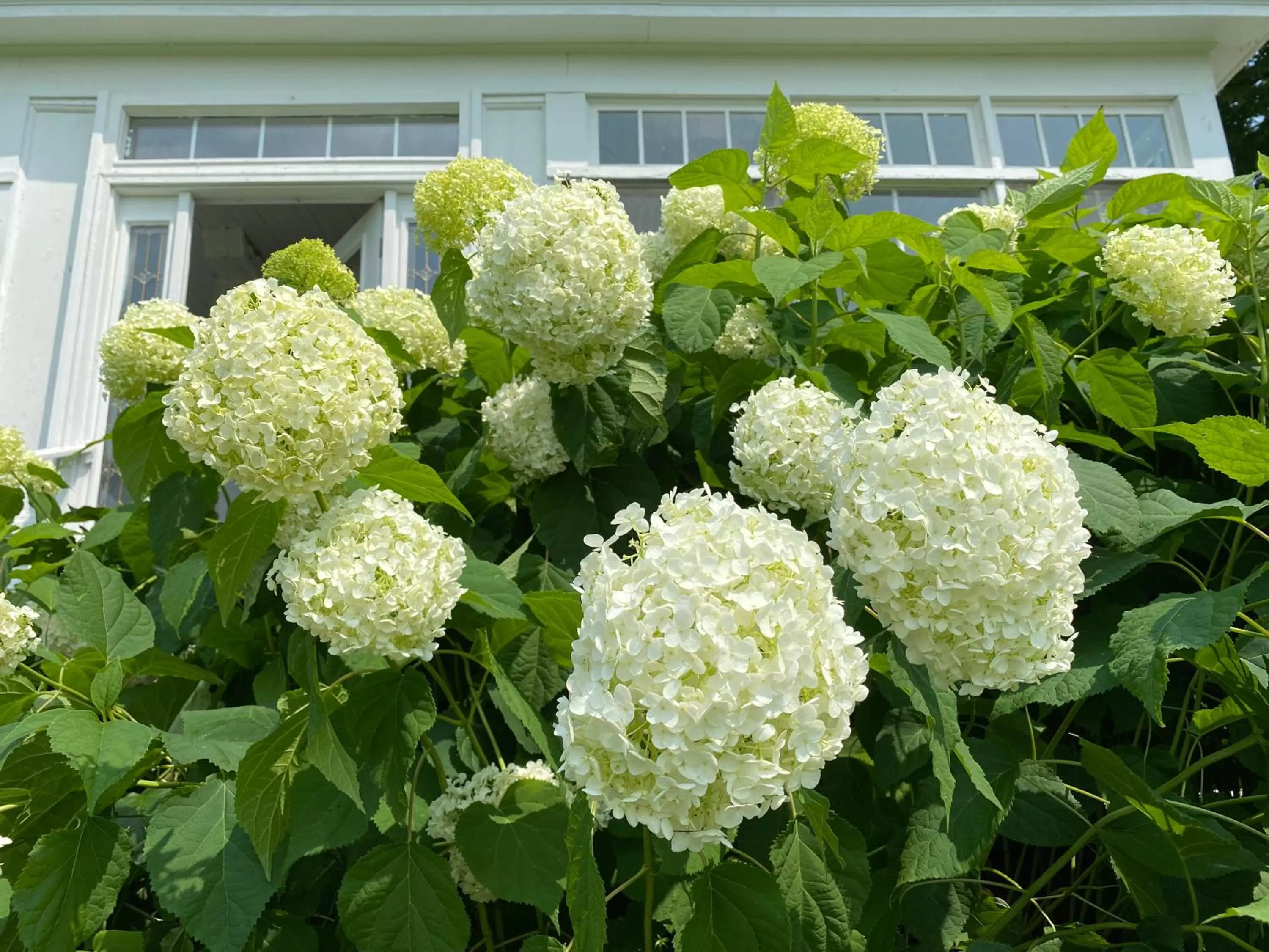 Garden in Bloom Farm Guesthouse