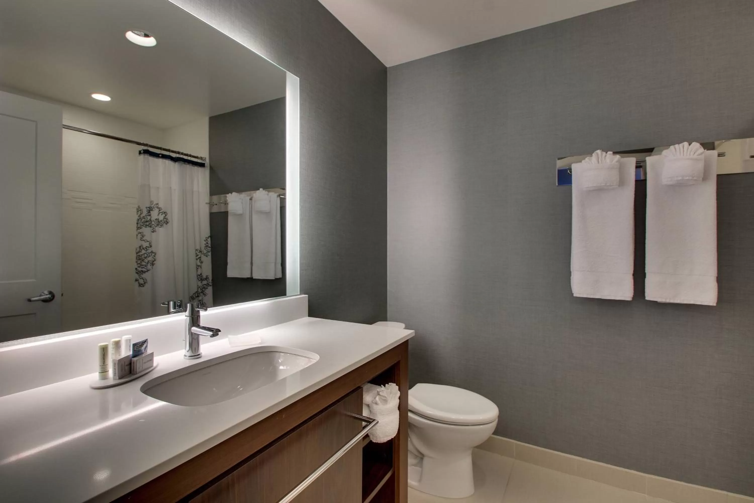 King Suite in Residence Inn by Marriott Philadelphia Valley Forge/Collegeville