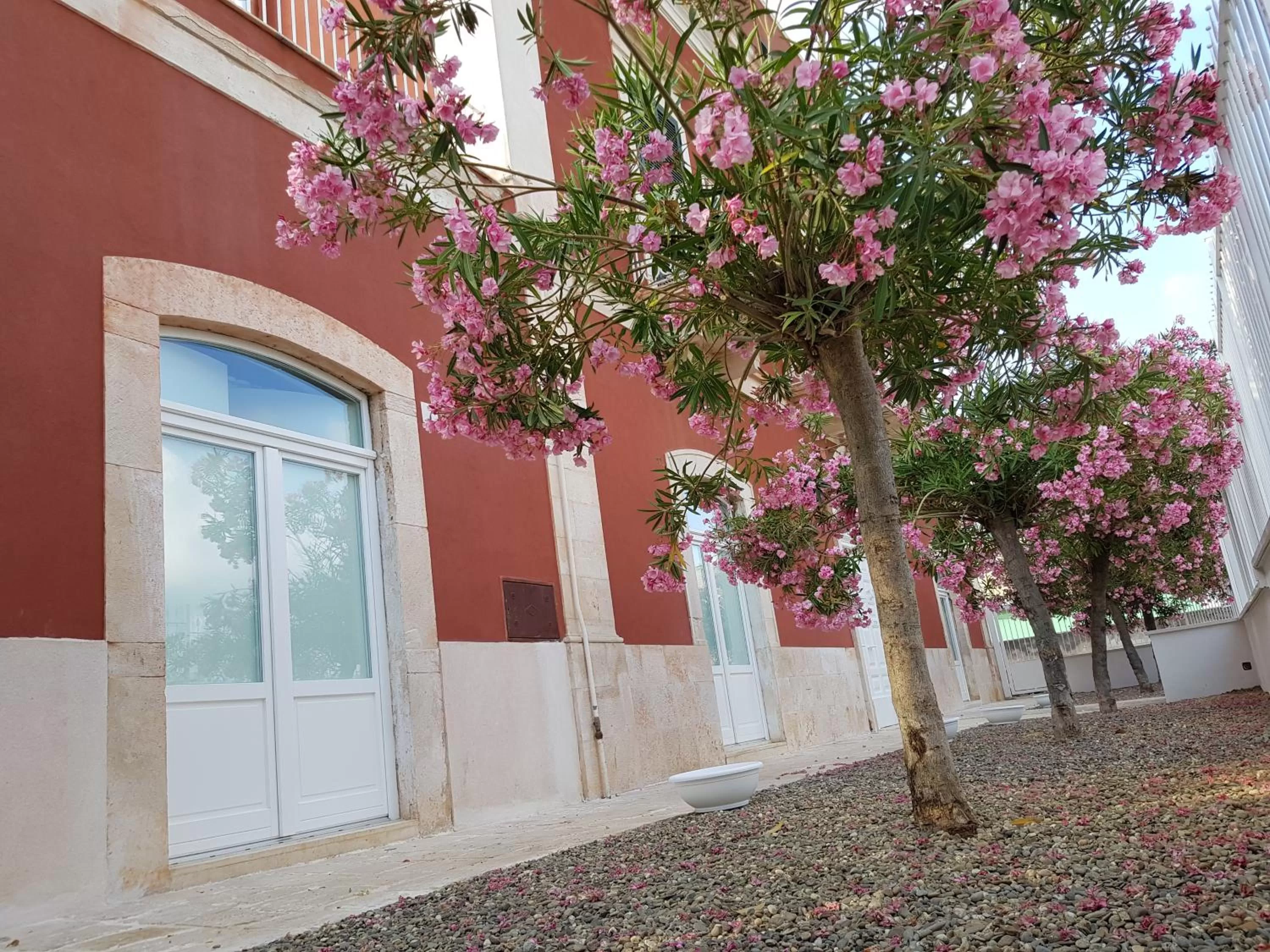 Facade/entrance in Dimora D'Amato