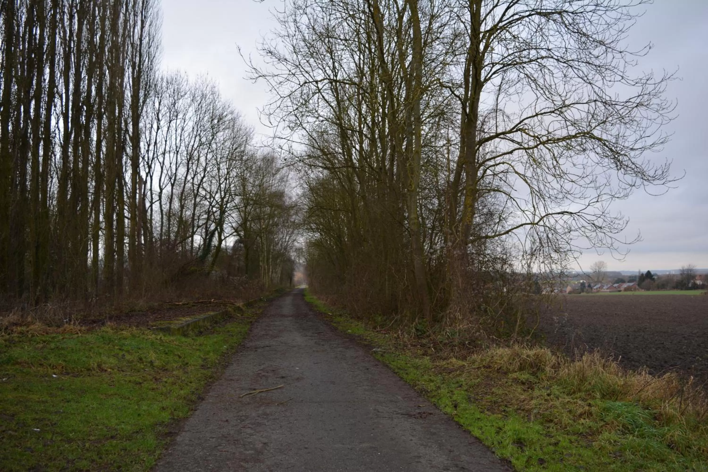 Natural landscape in B&B A la Malogne