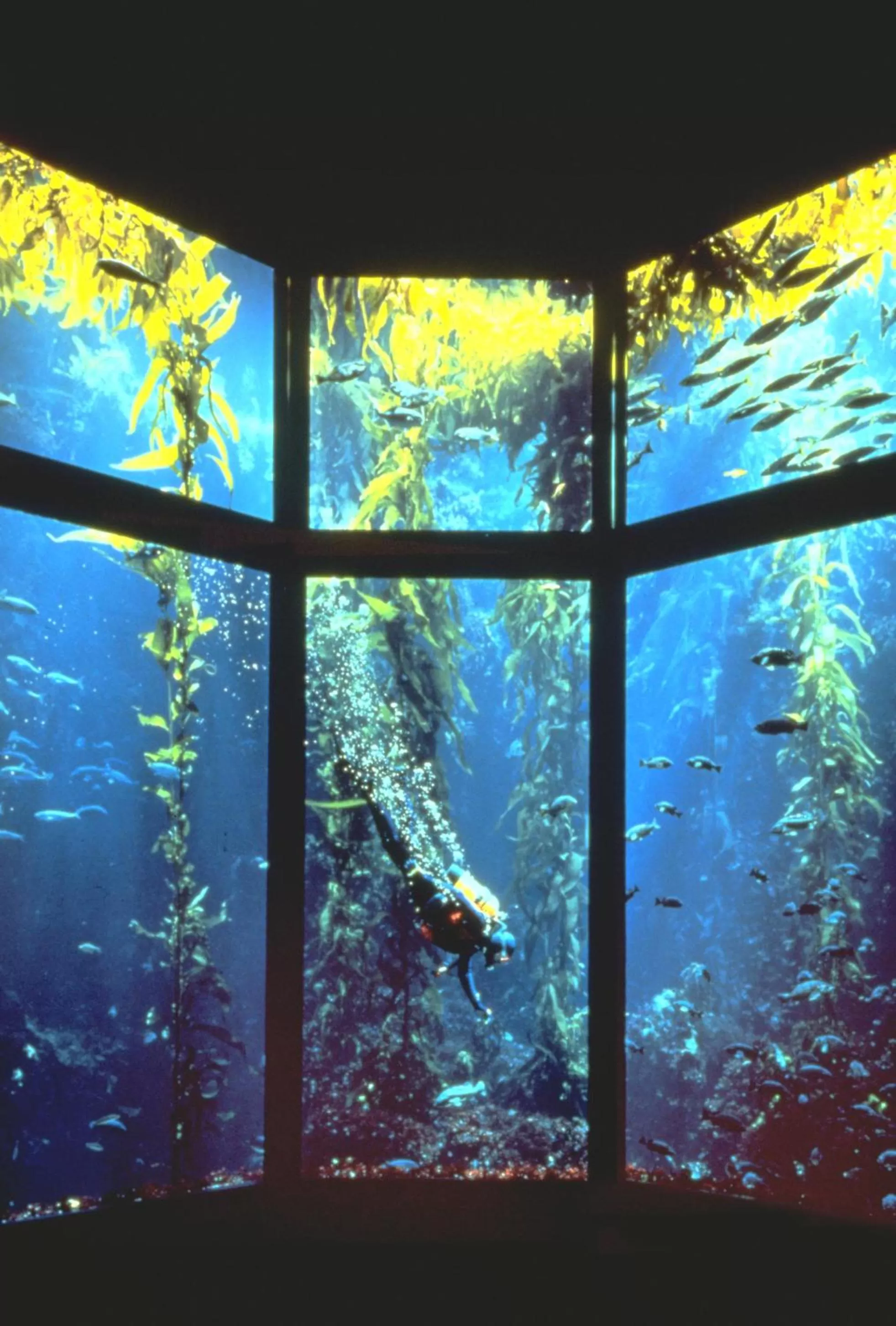 Area and facilities in Monterey Bay Inn