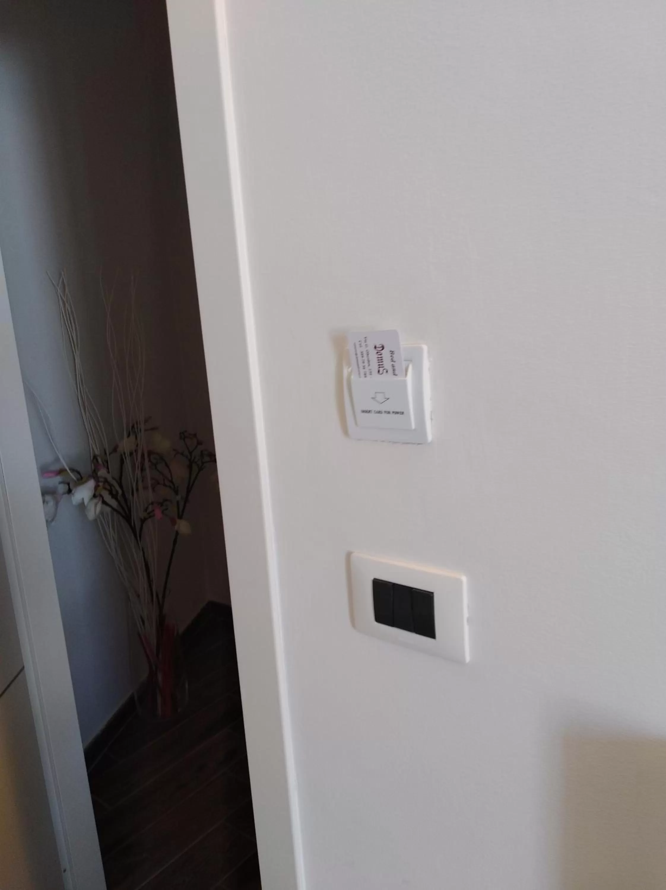 Other in DomuS al Corso B&B