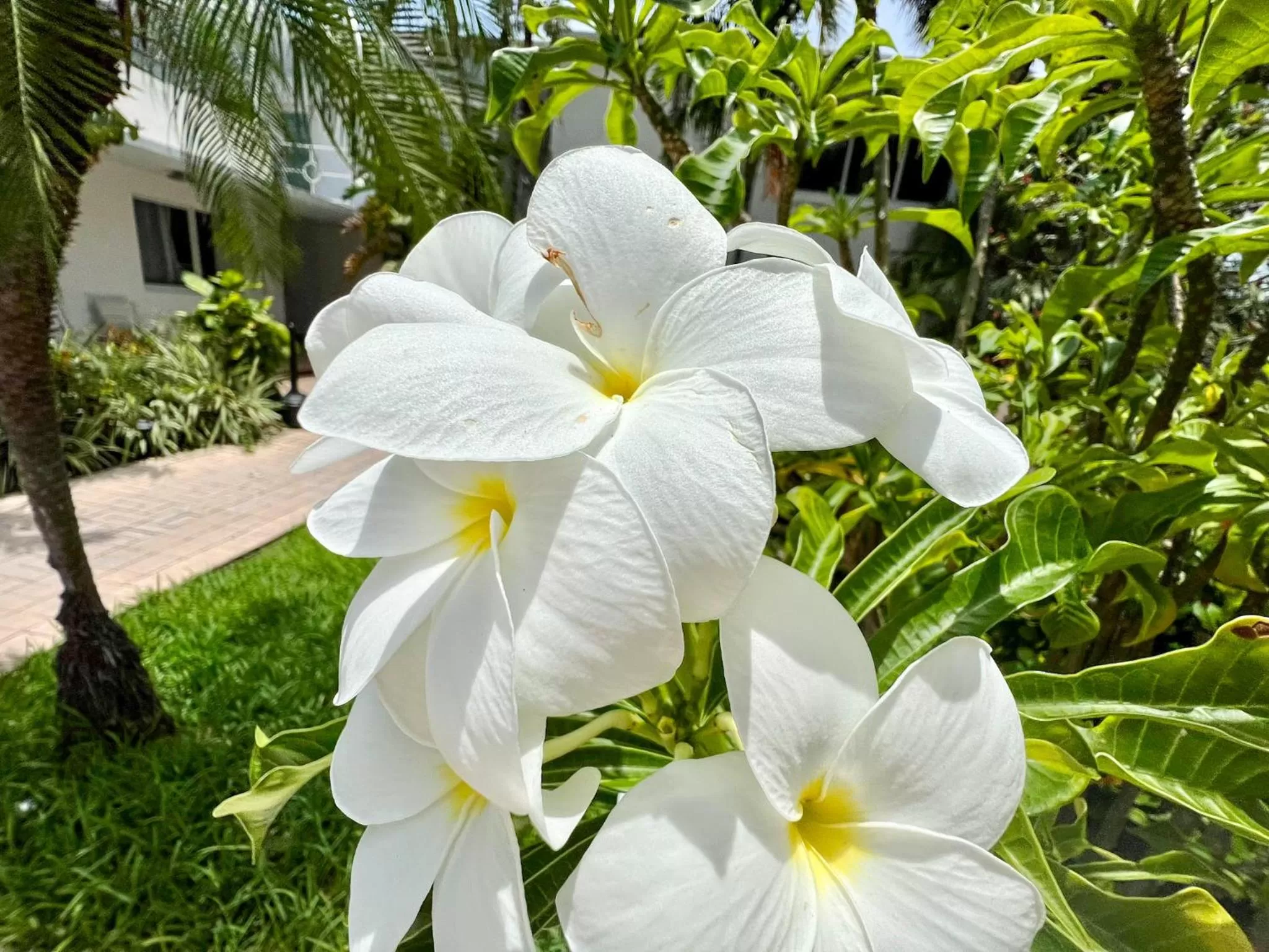 Natural landscape in North Beach Hotel
