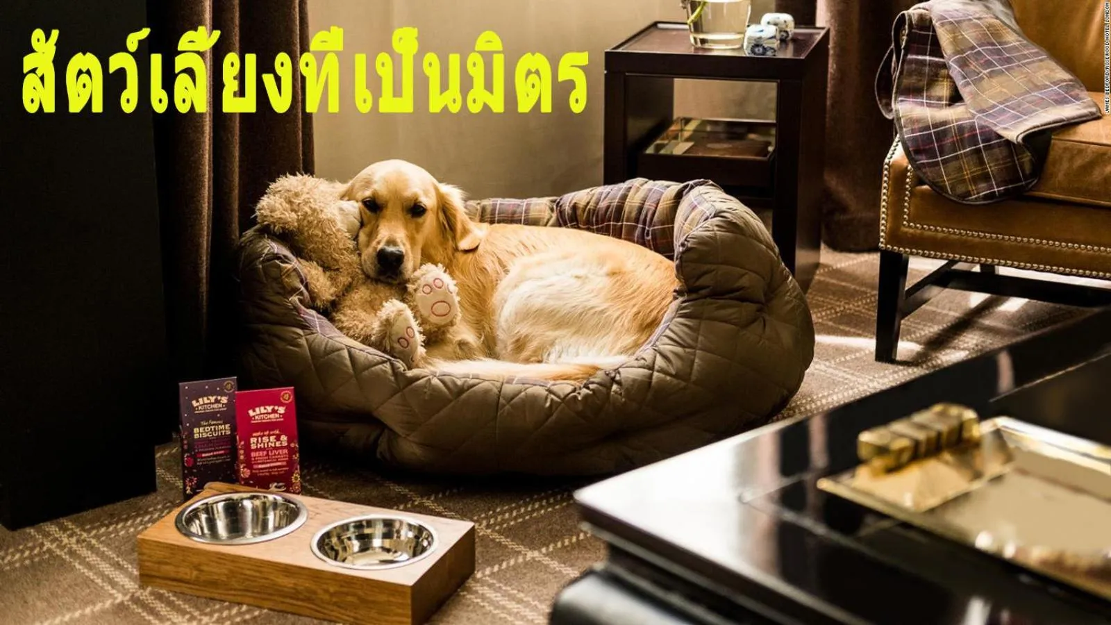Pets in Mini-golf **** & Resort Ubon Ratchathani