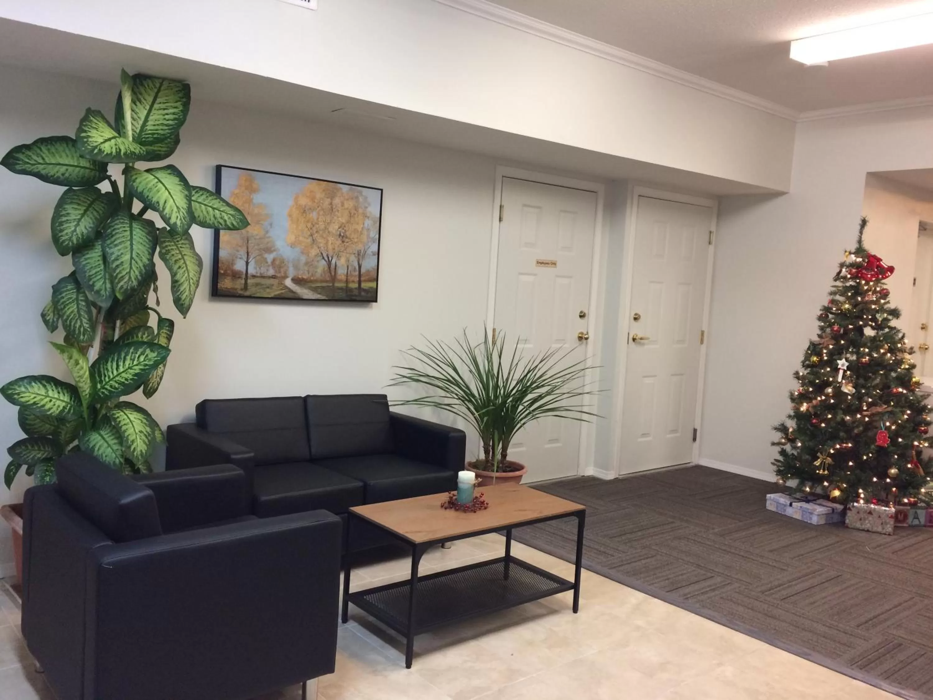 Seating area in Cactus Tree Inn