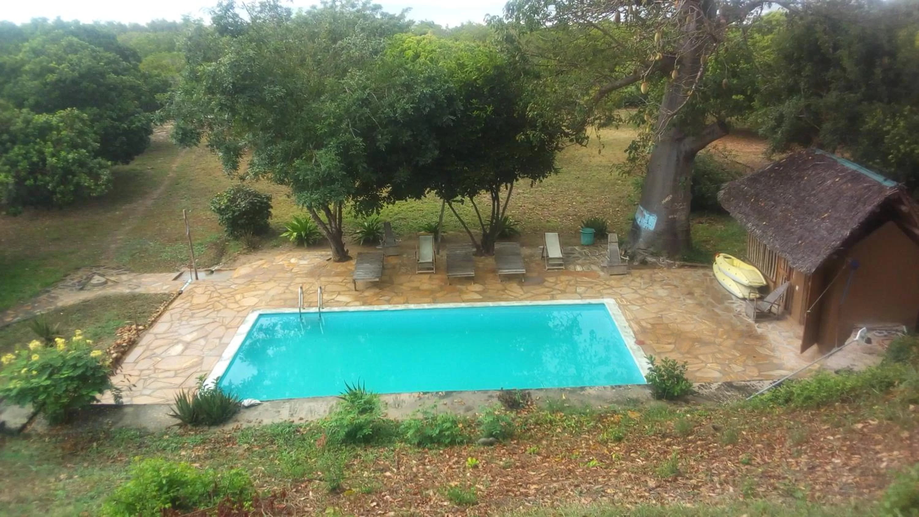Swimming pool, Pool View in Bahari Pori Resort