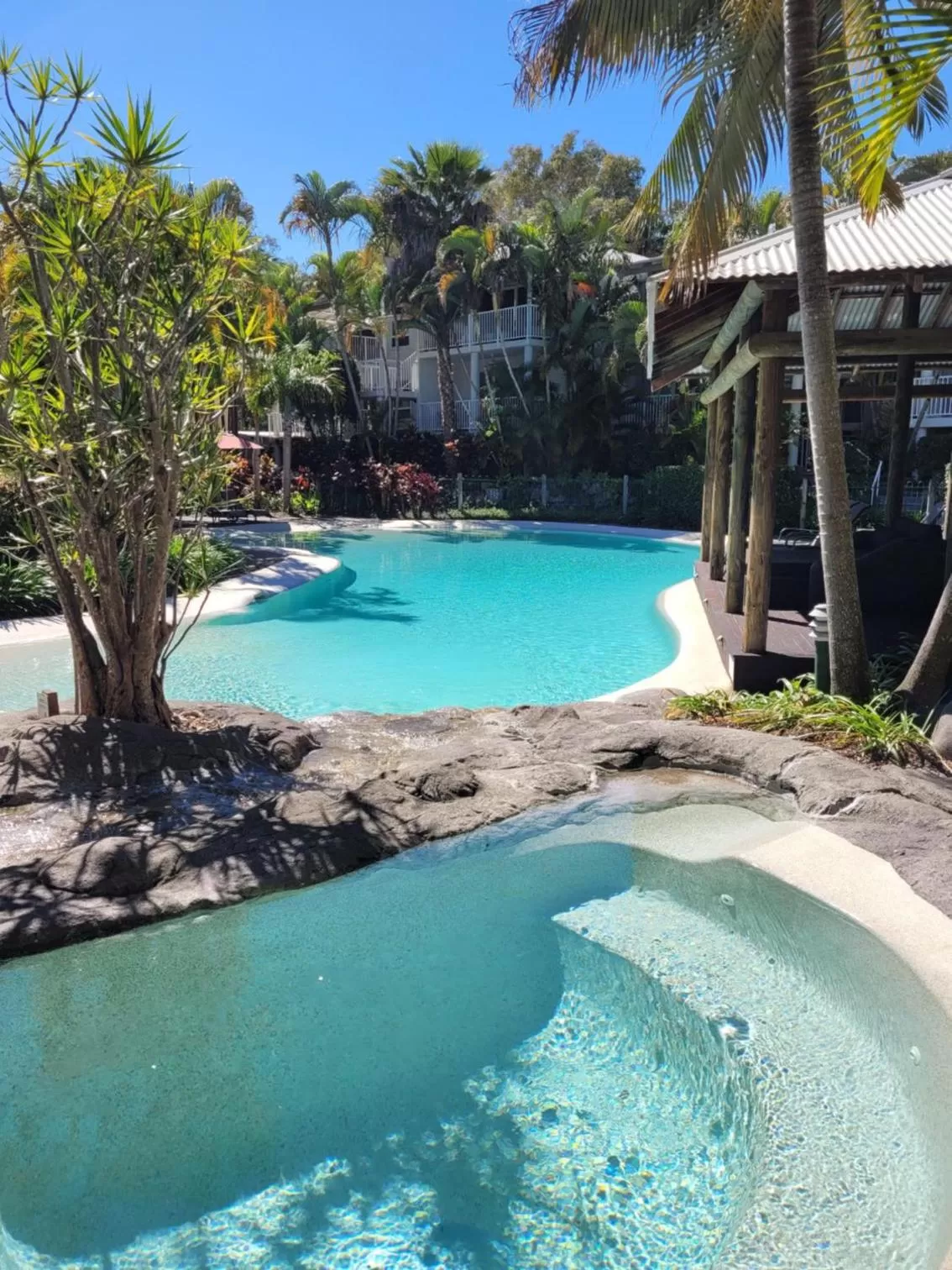 Swimming pool in South Pacific Resort & Spa Noosa