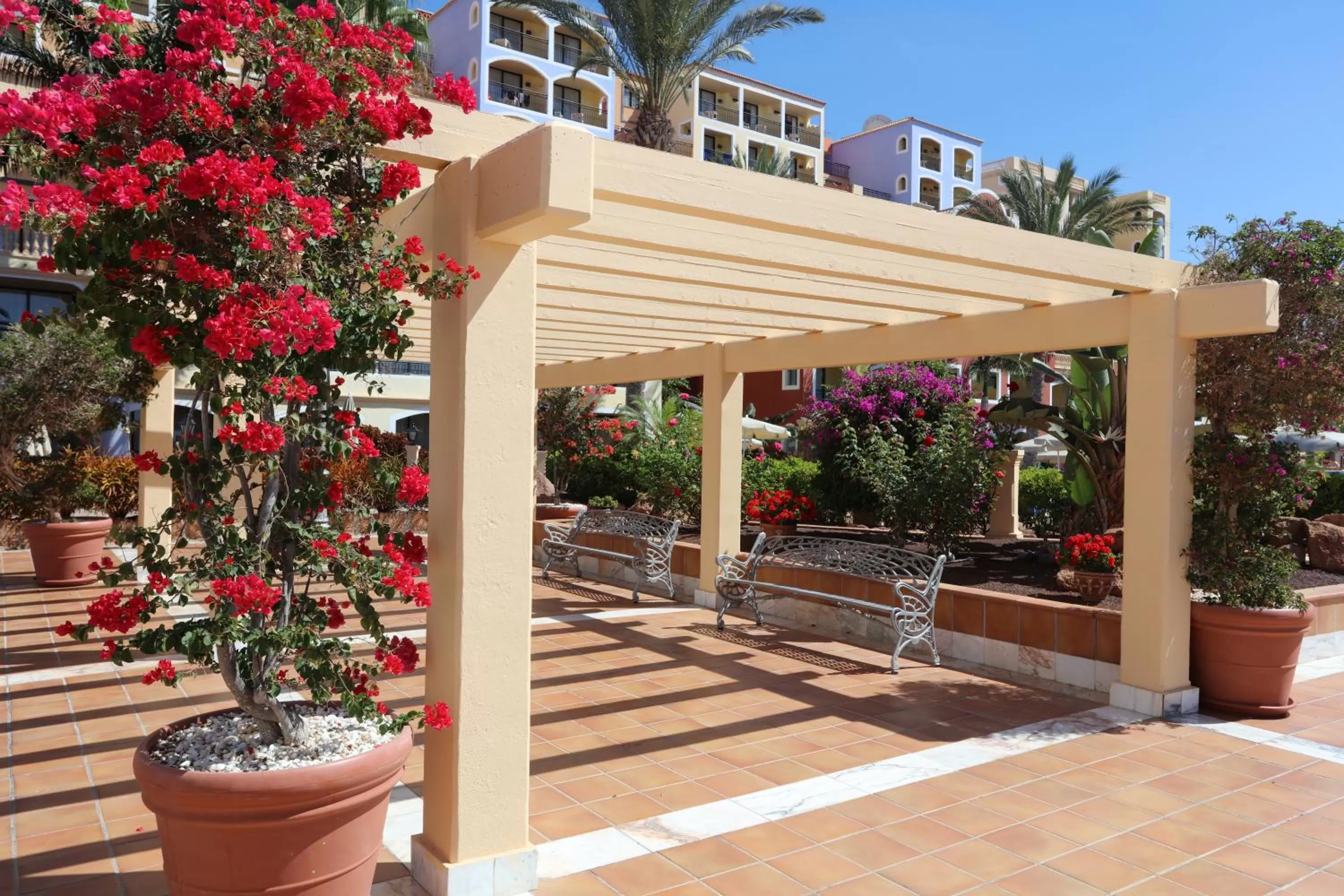 Property building in Bahia Principe Sunlight Tenerife