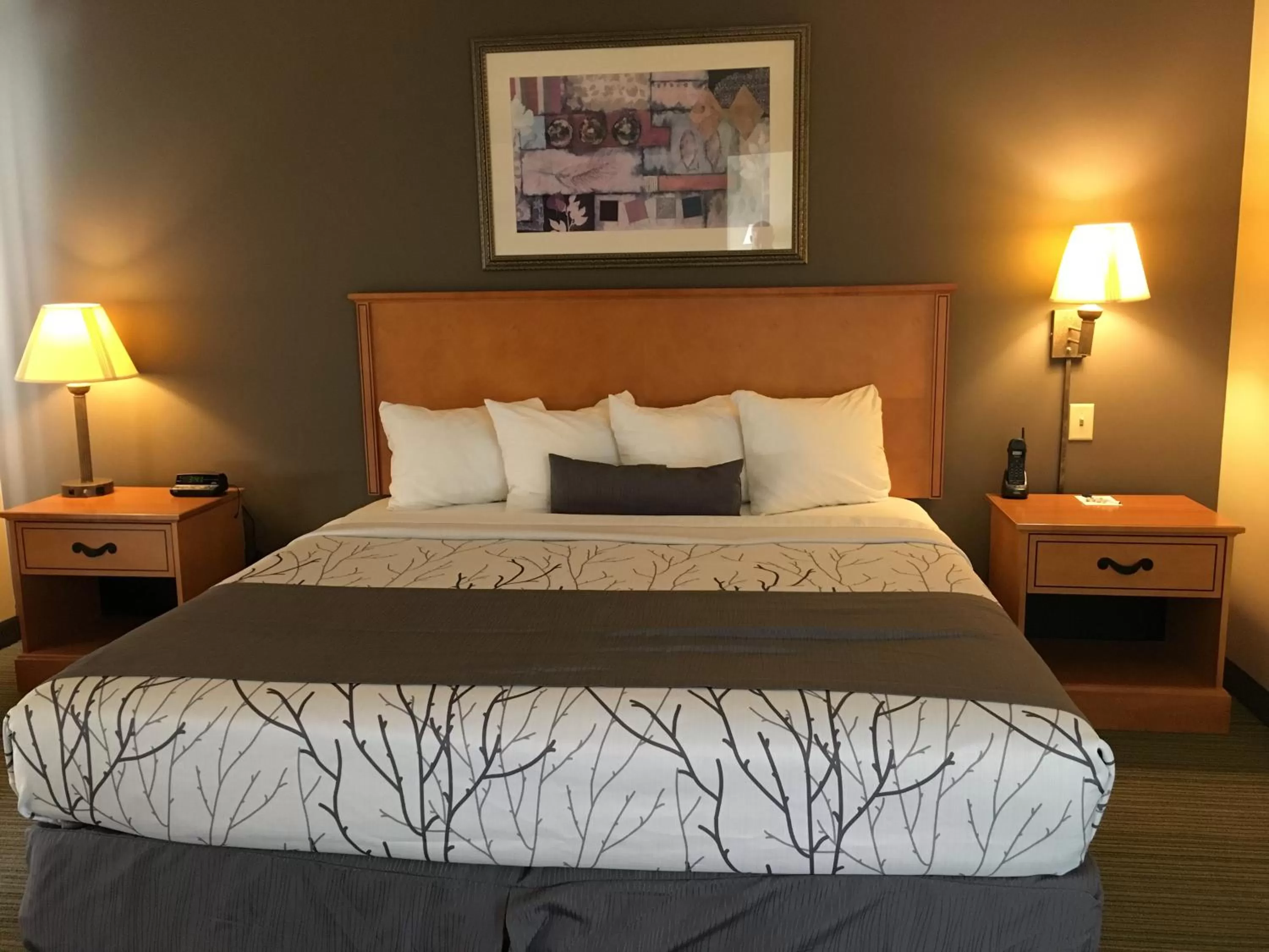 Bedroom, Bed in Wingate by Wyndham Coon Rapids