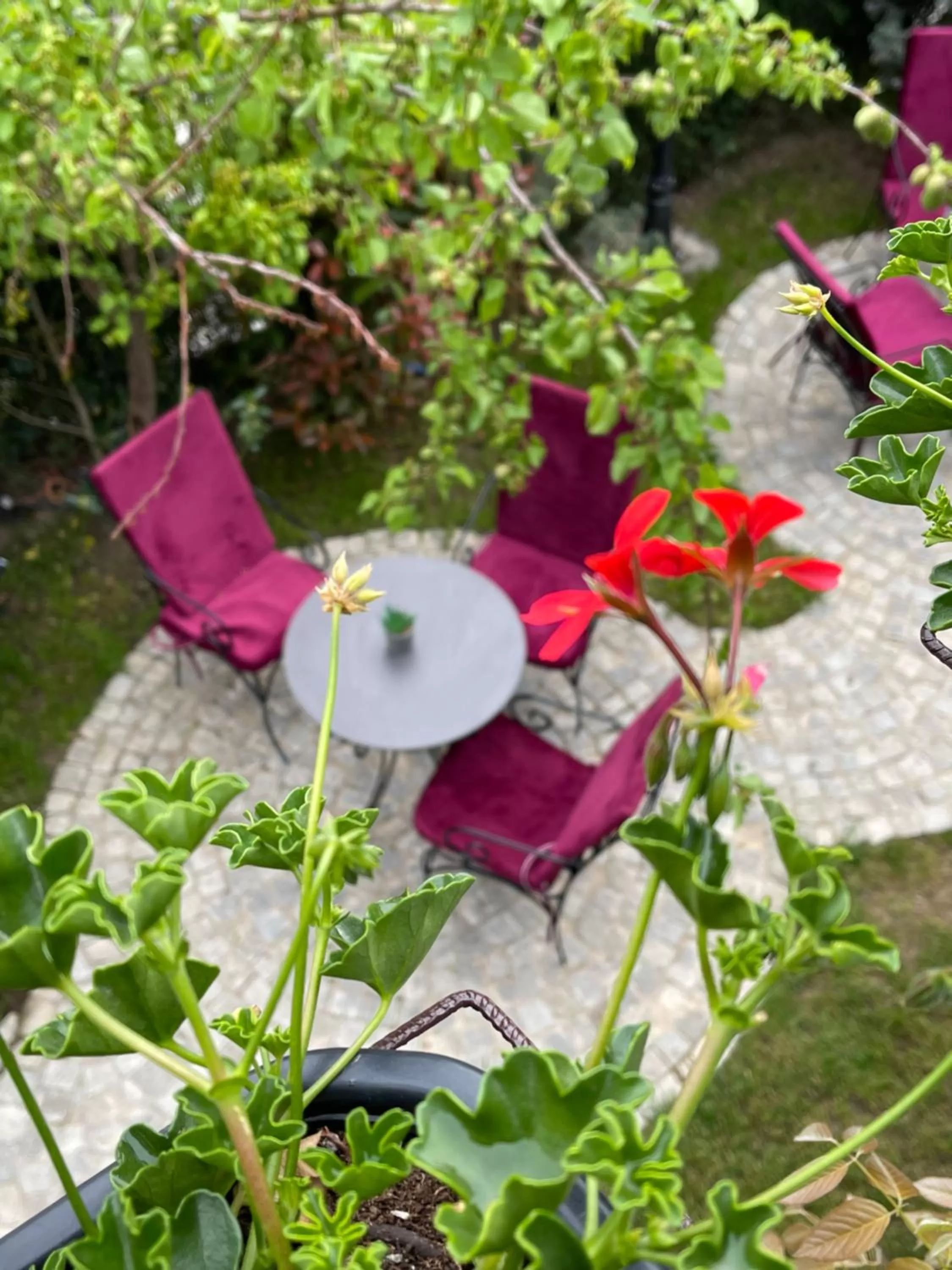 Etnomania Boutique Hotel