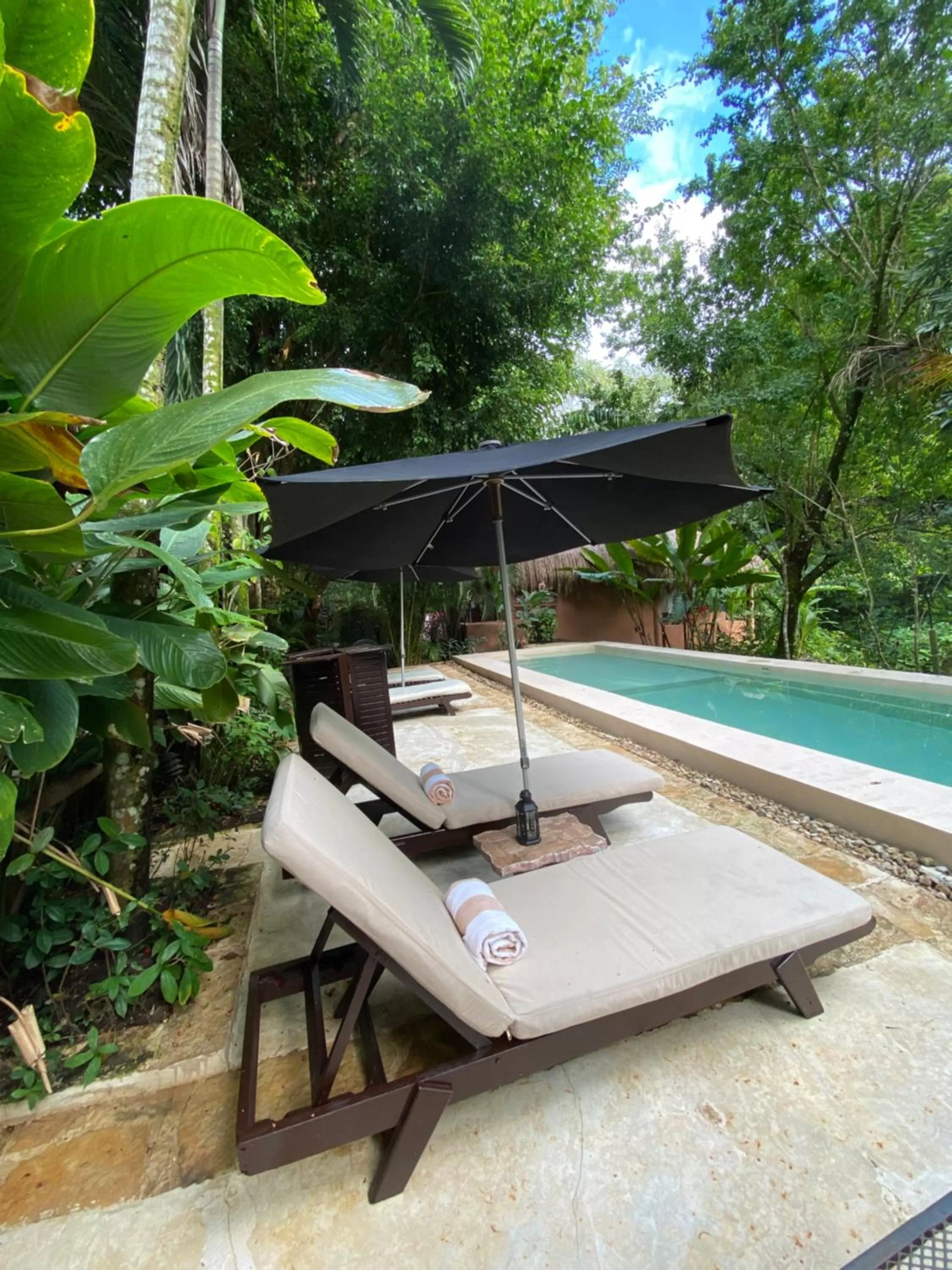 Swimming pool in Piedra de Agua Palenque