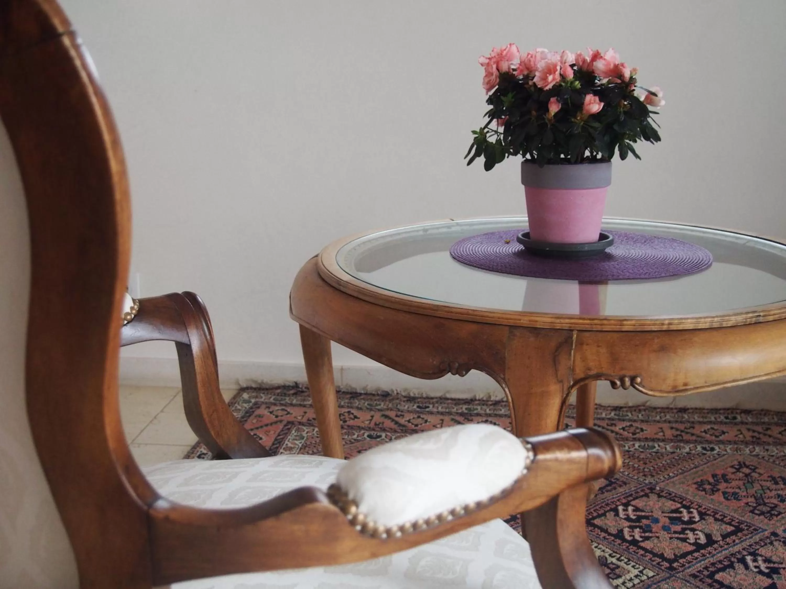 Les Lumières de Genève