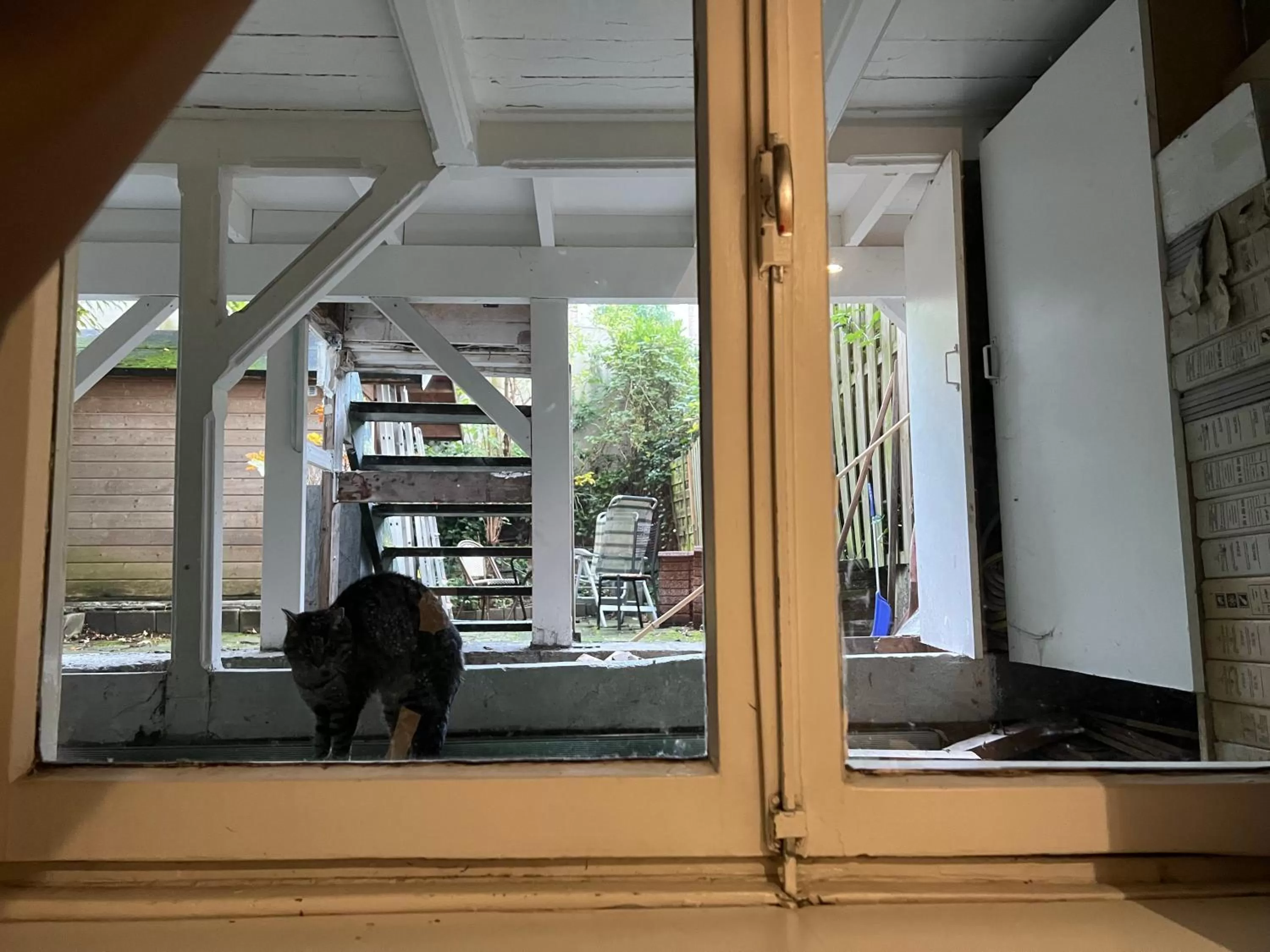 Garden view in Blossoms City Hotel