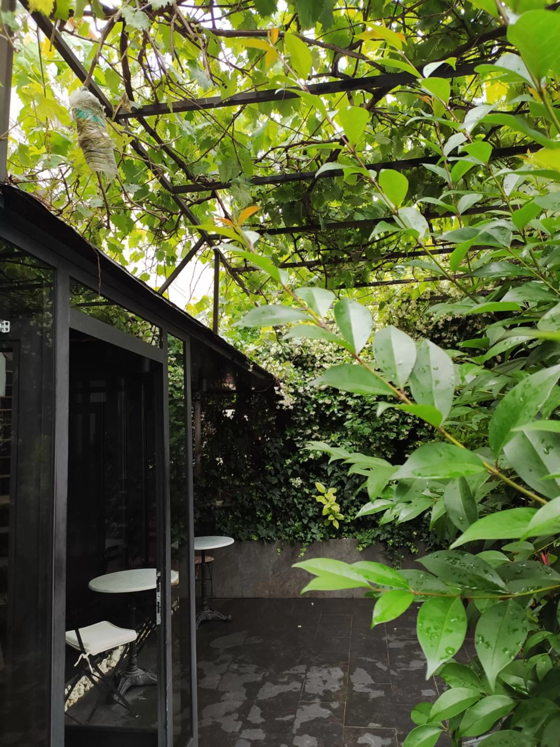 Patio in Armagrandi Spina Hotel-Special Category