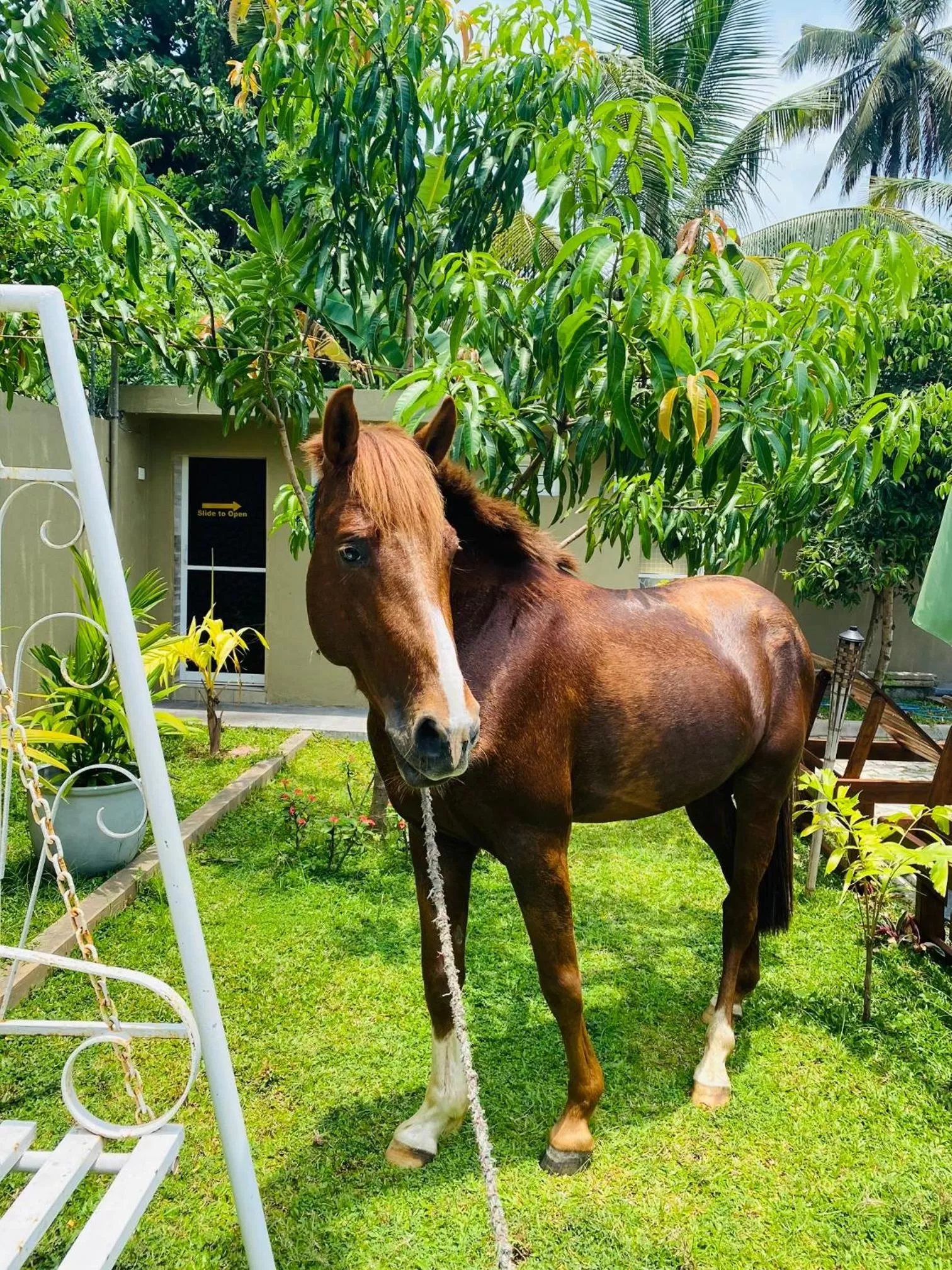 The Kingslayer Resort