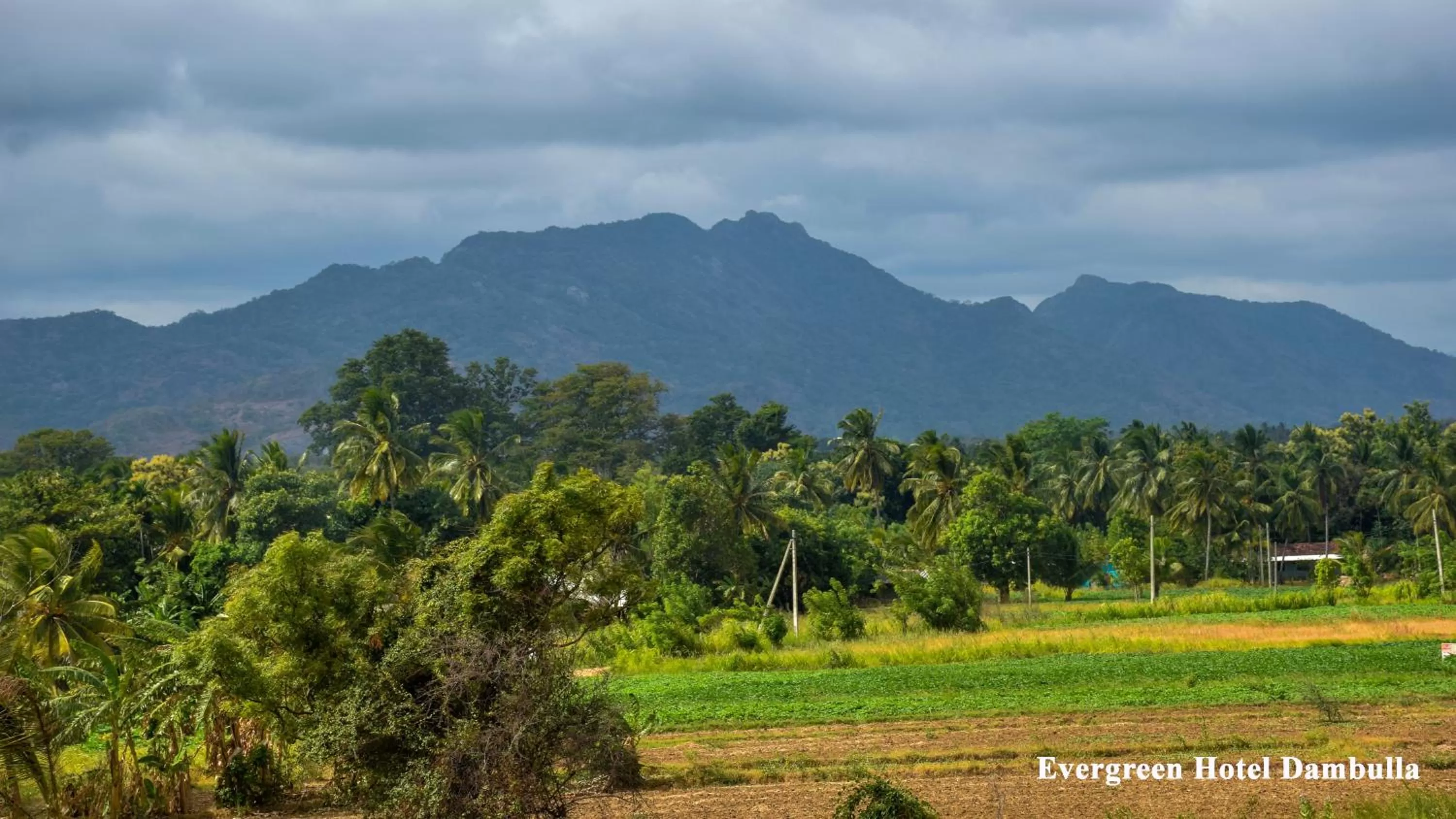 Natural Landscape in Evergreen Hotel Dambulla