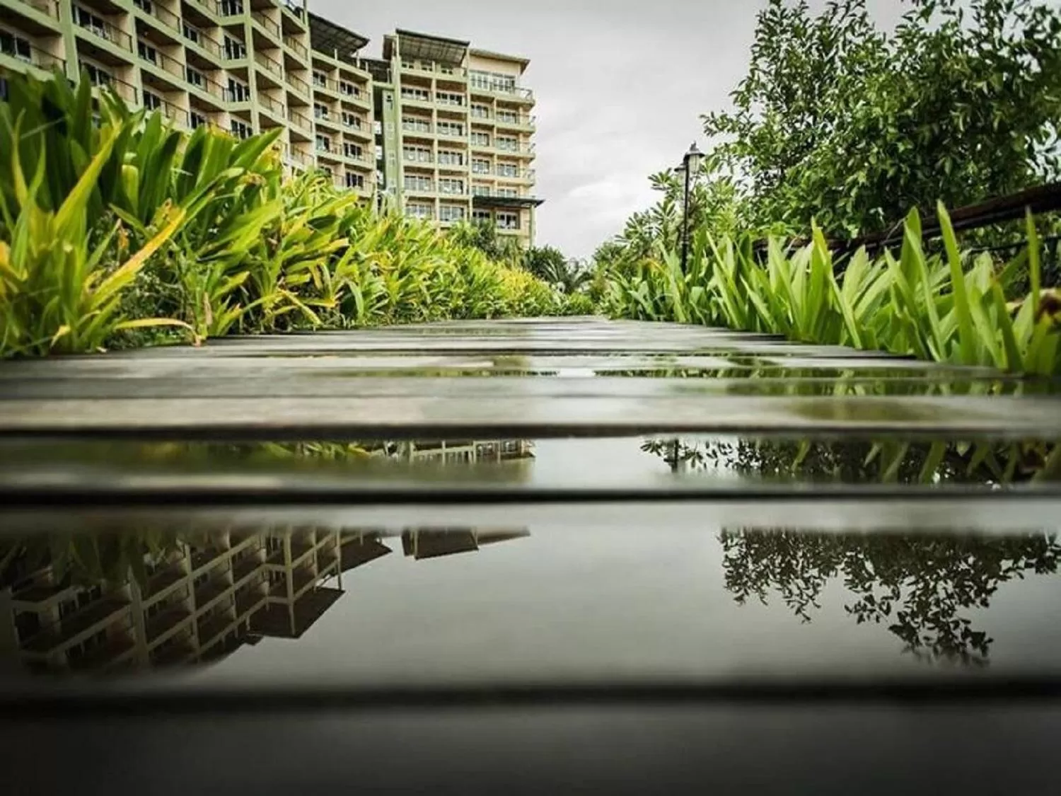 Patio in Royal Phala Cliff Beach Resort
