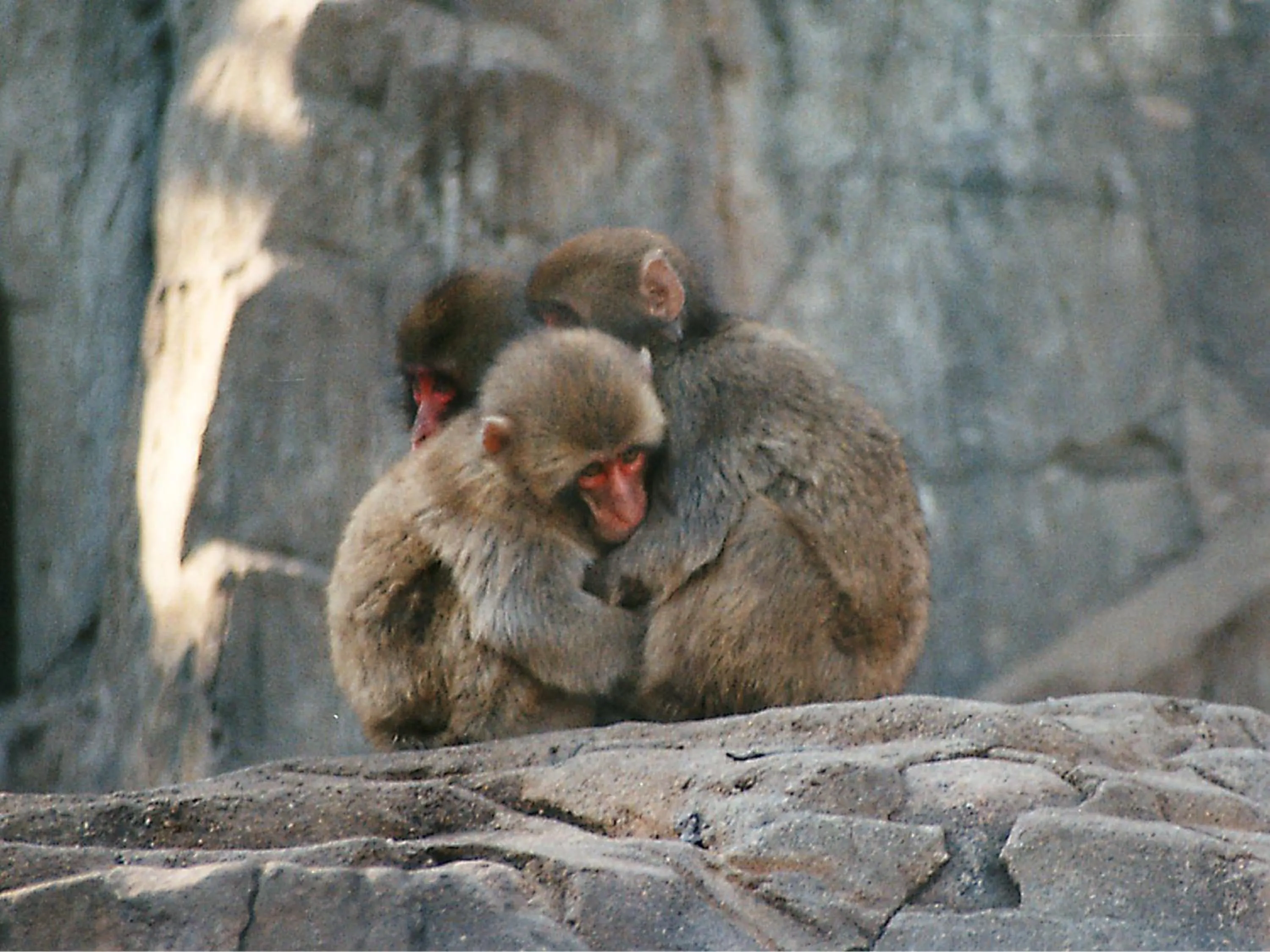 Nearby landmark in KOKO HOTEL Higashiosaka - formerly Hotel Wing International Select Higashi Osaka