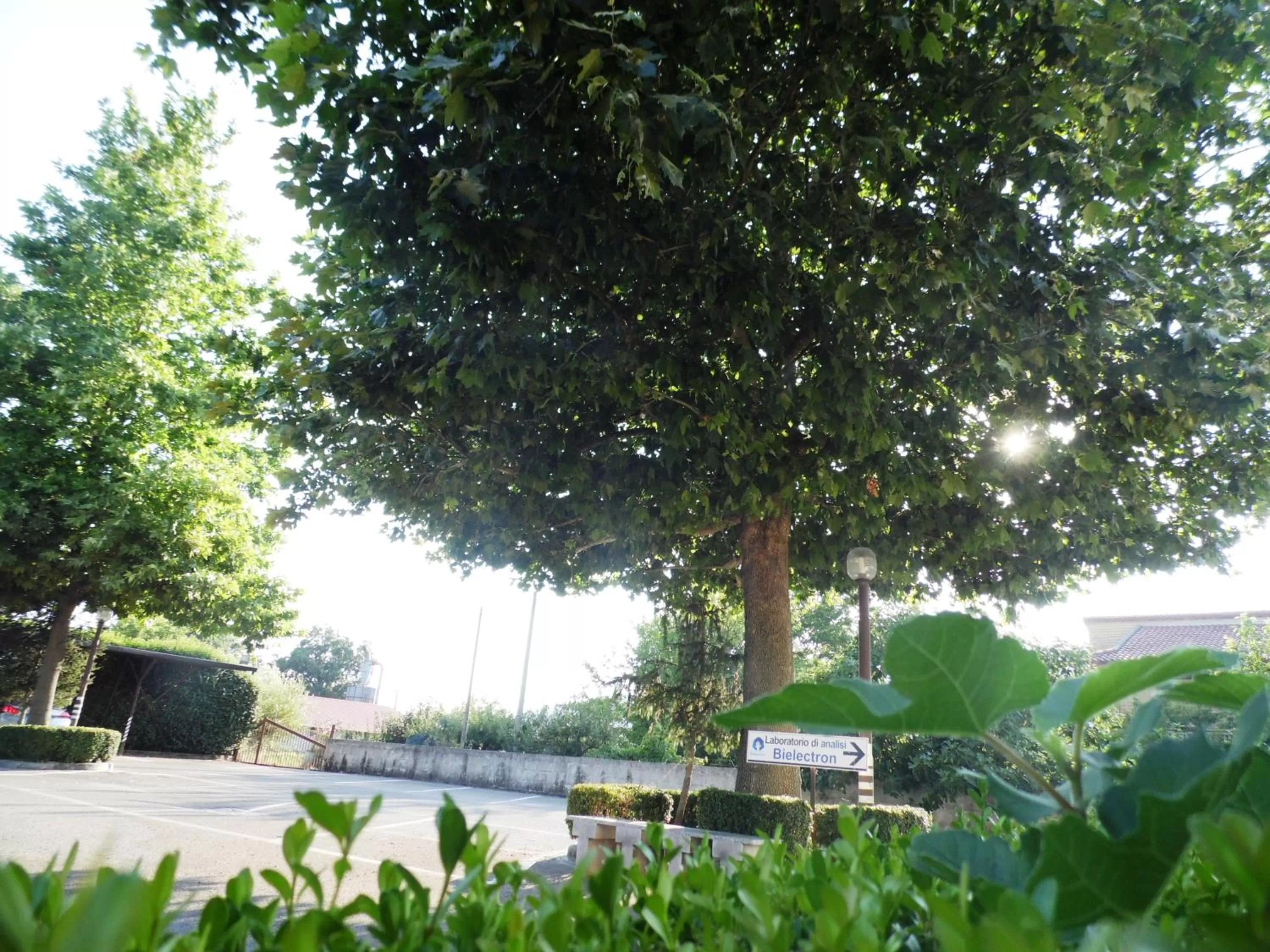 Area and facilities in Hotel Rosso Di Sera