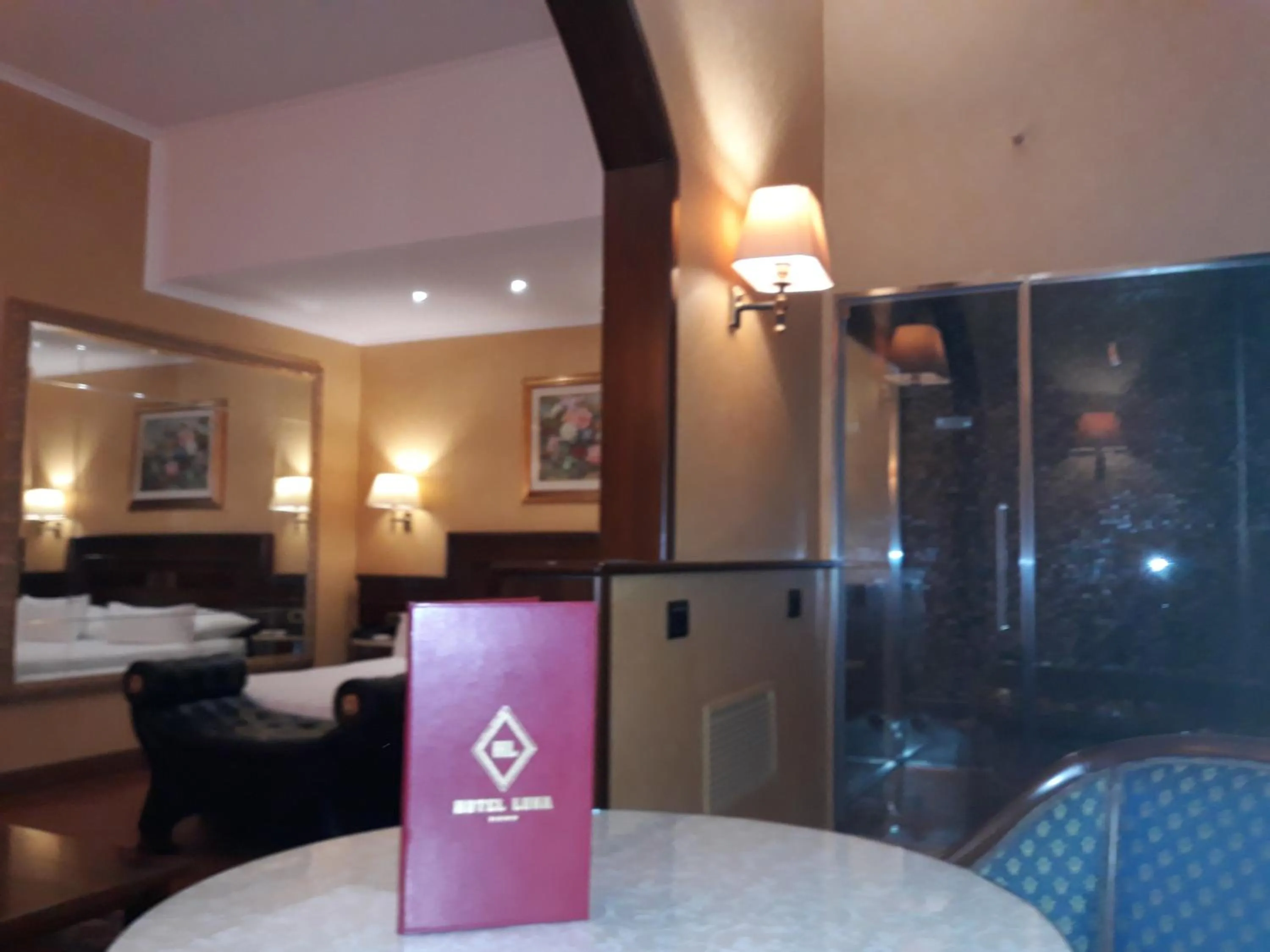 Facility for disabled guests in Hotel Motel Luna