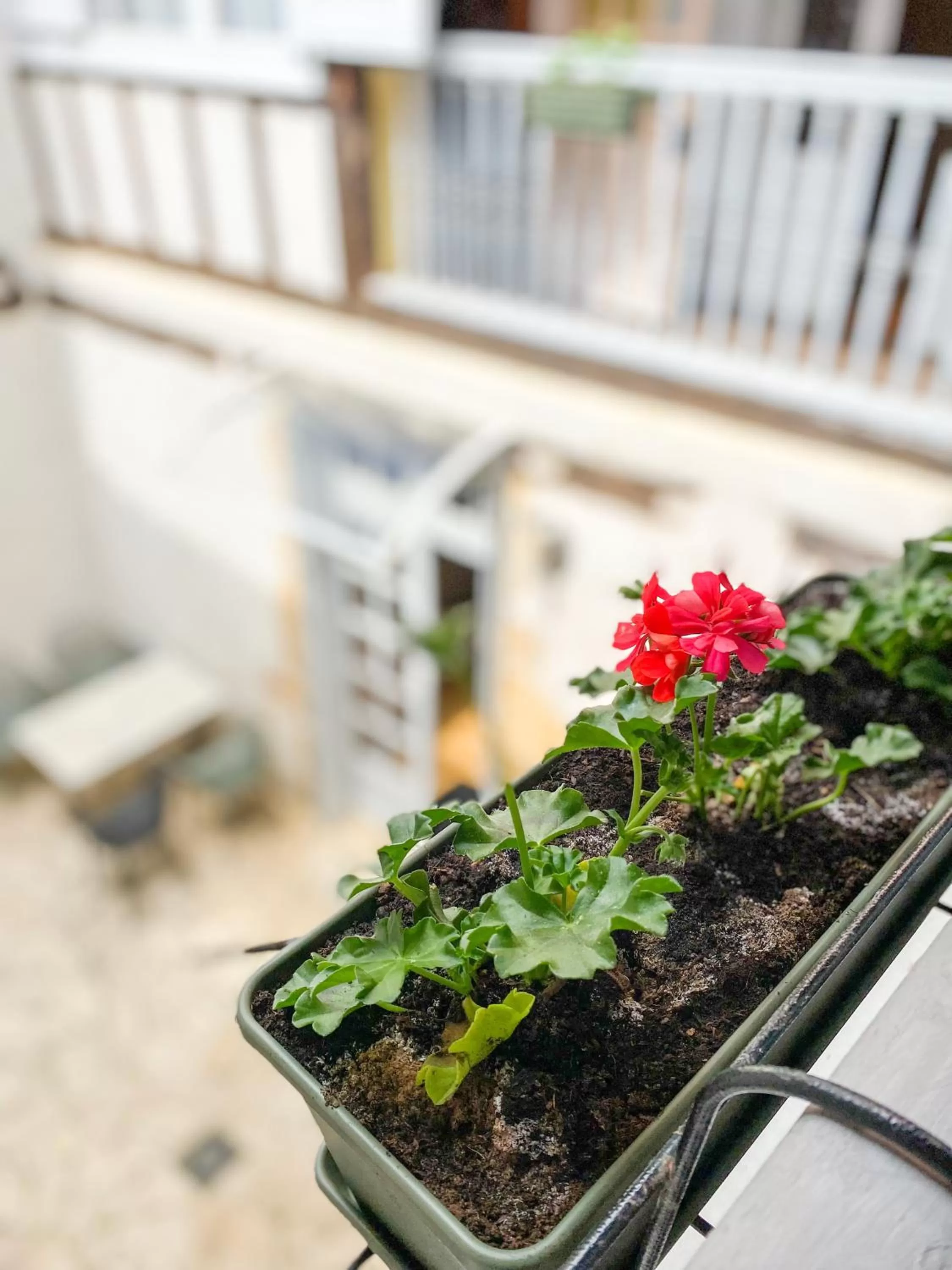 Patio in Nogapatio - Maison d'Hôtes - BnB