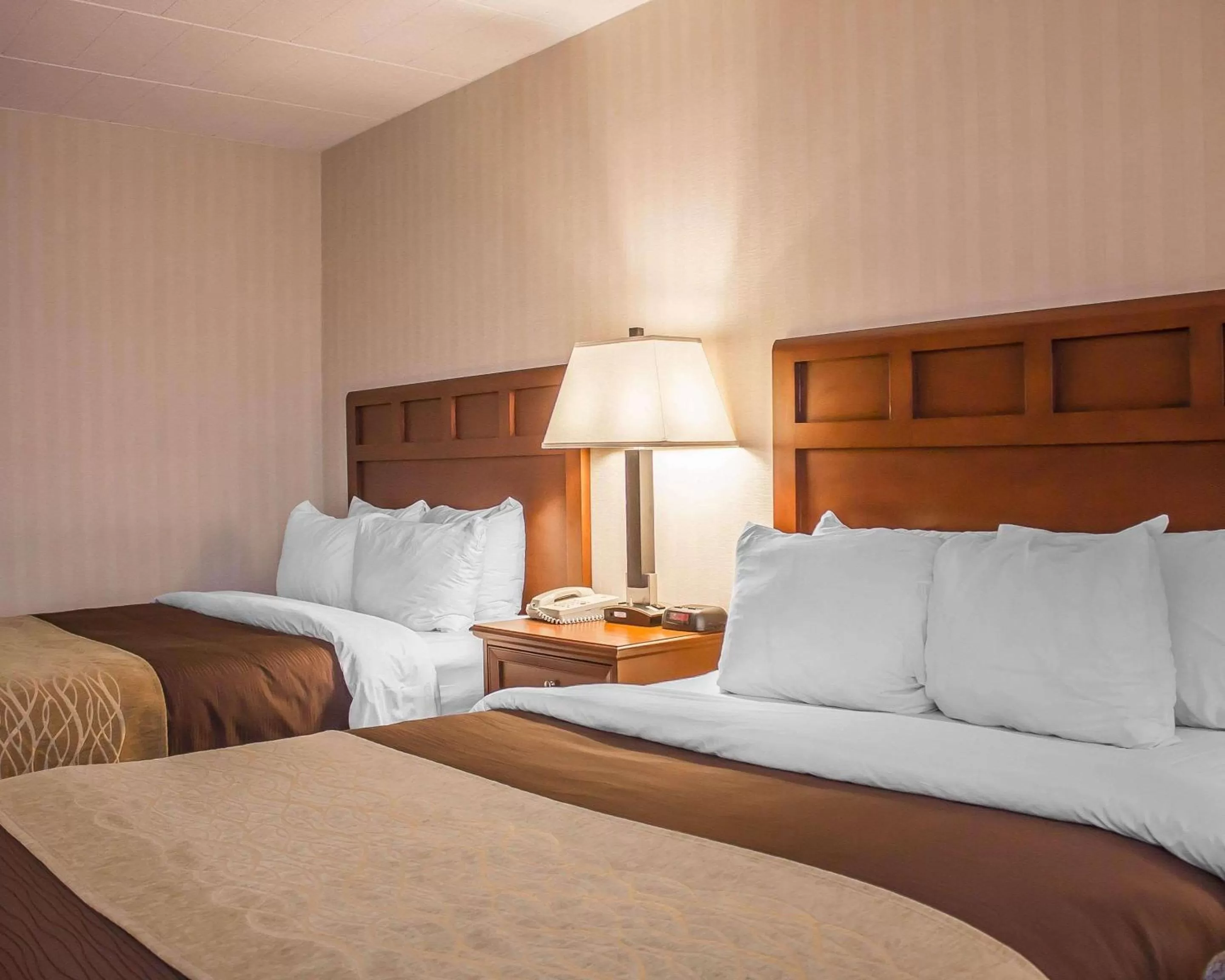 Photo of the whole room, Bed in Comfort Inn Wethersfield - Hartford